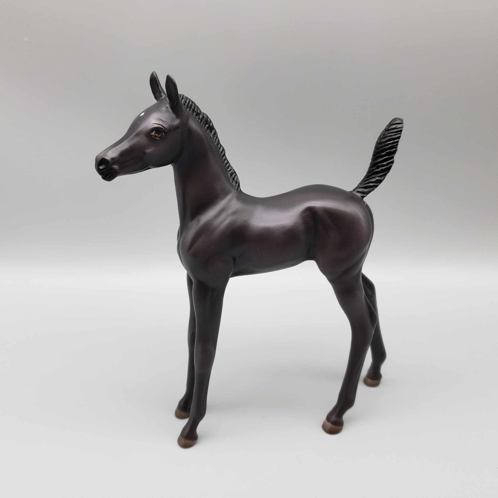 Button OOAK Black with Purple Accents Arab Foal by Ashley Palmer Fall Into Autumn Random Drop Sale 9/23