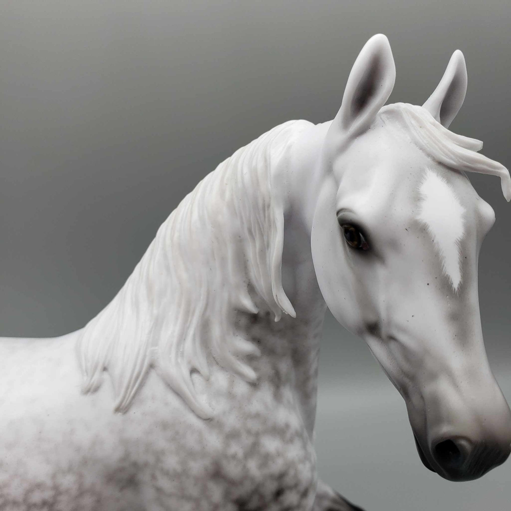 Clair de Lune OOAK Dapple Grey Arab Mare By Ellen Robbins Best Offers 9/18/23