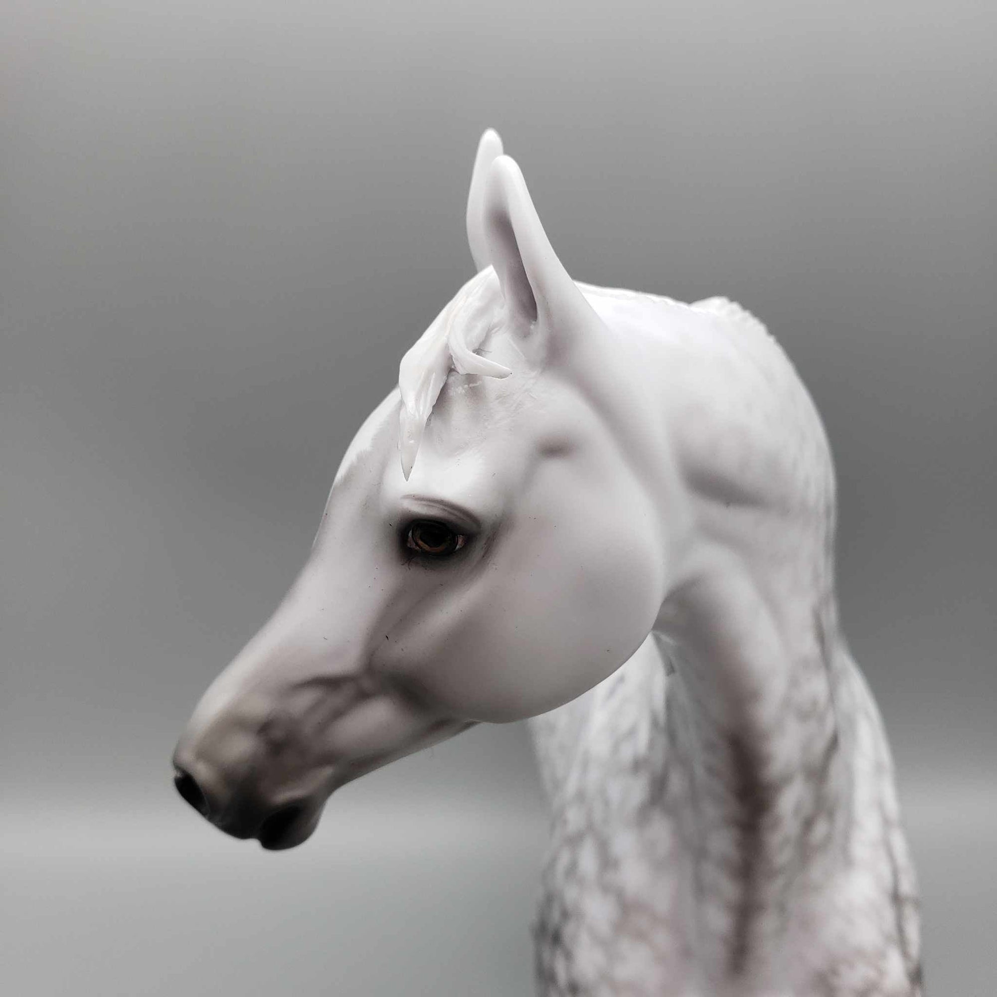 Clair de Lune OOAK Dapple Grey Arab Mare By Ellen Robbins Best Offers 9/18/23