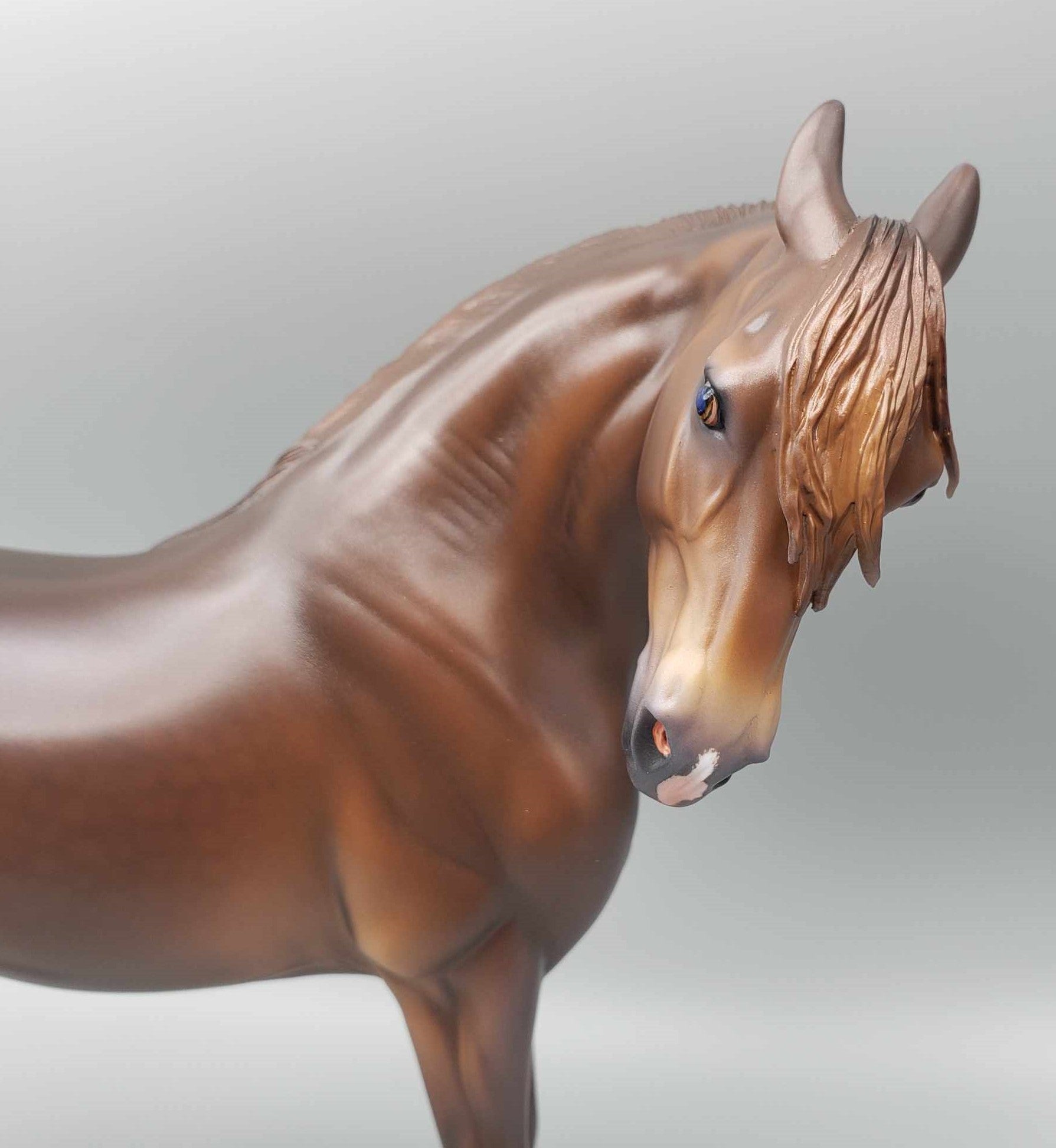 Hellcat OOAK Dark Dappled Chestnut Extreme Custom Andalusian By Caroline Boydston Best Offer 11/20/23