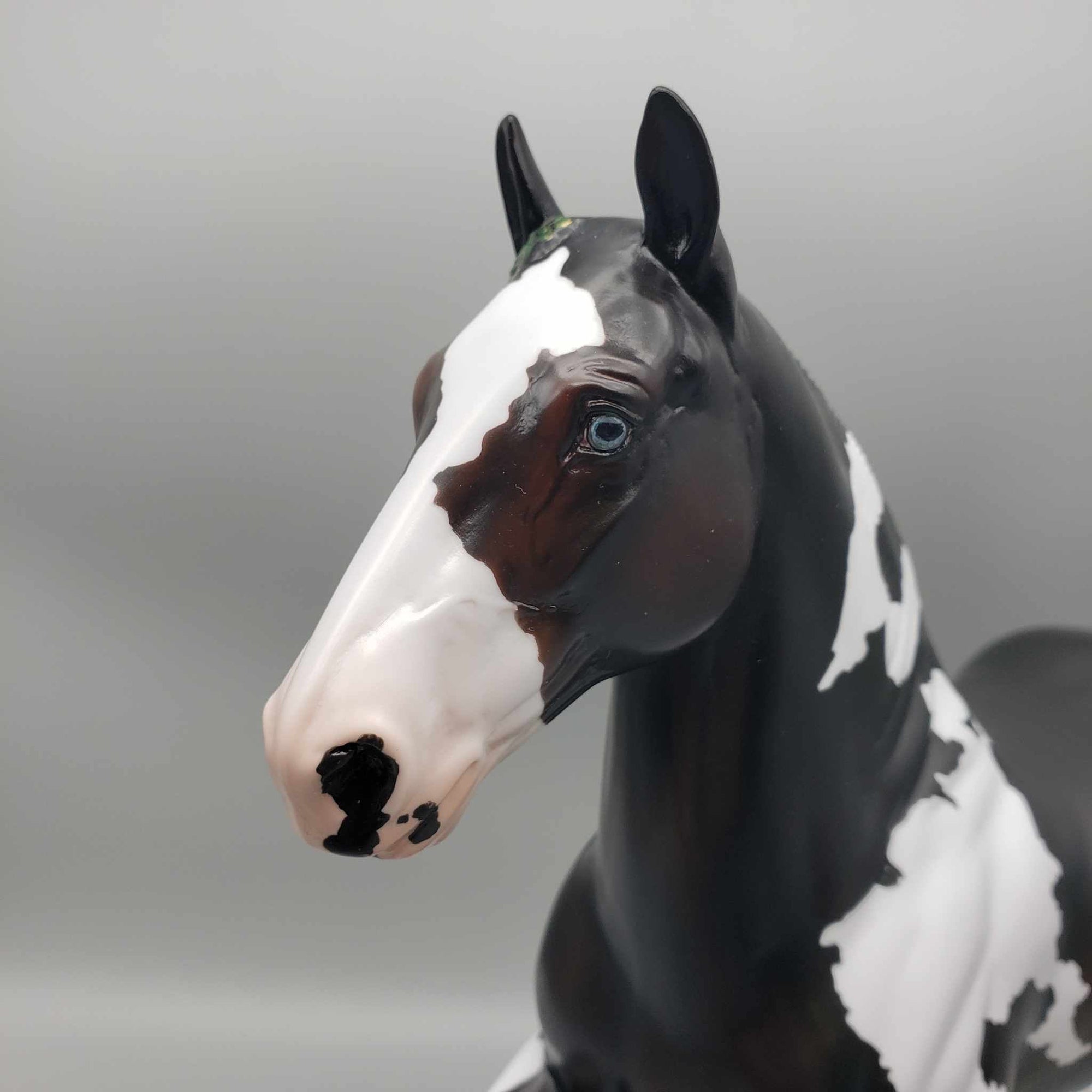 Douglas OOAK Bay Sabino Trotting Drafter By Angela Marleau 2023