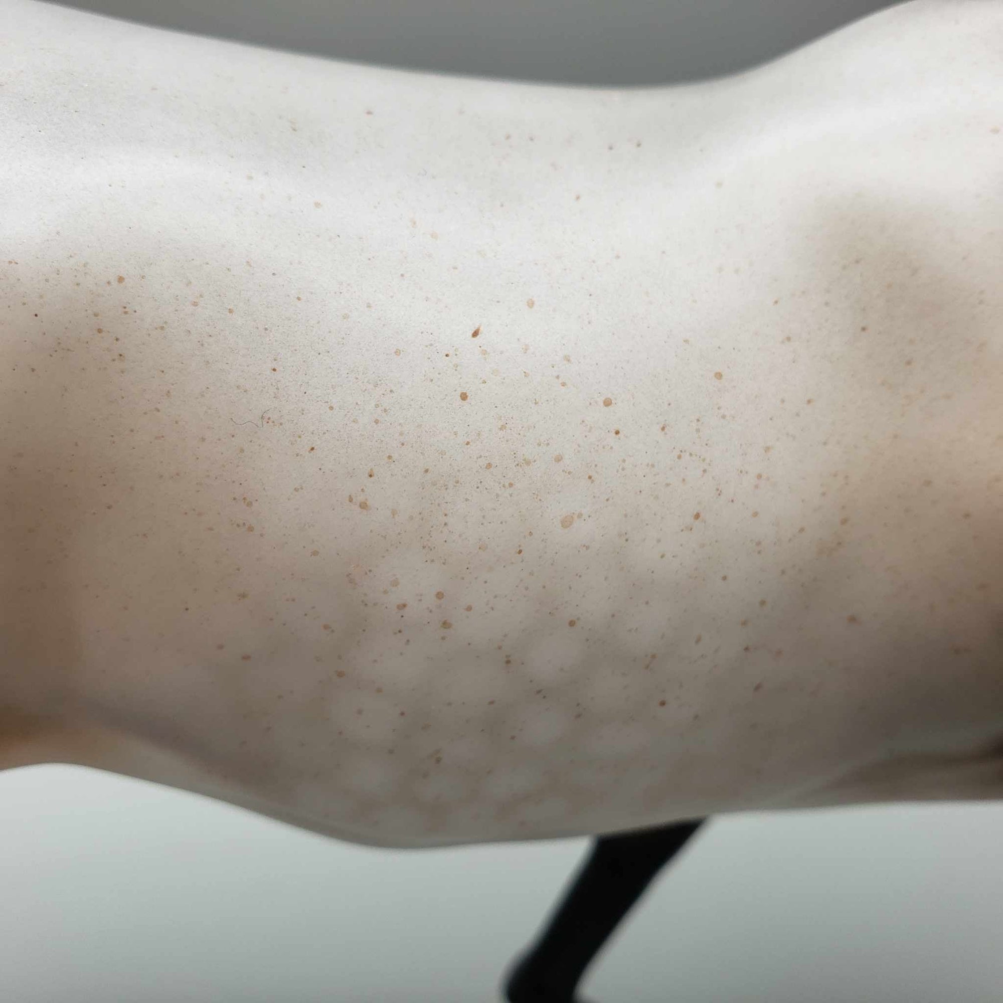 Jasmine OOAK Bay Roan Running Stock Horse By Angela Marleau Fall Into Autumn Random Drop Sale 9/23