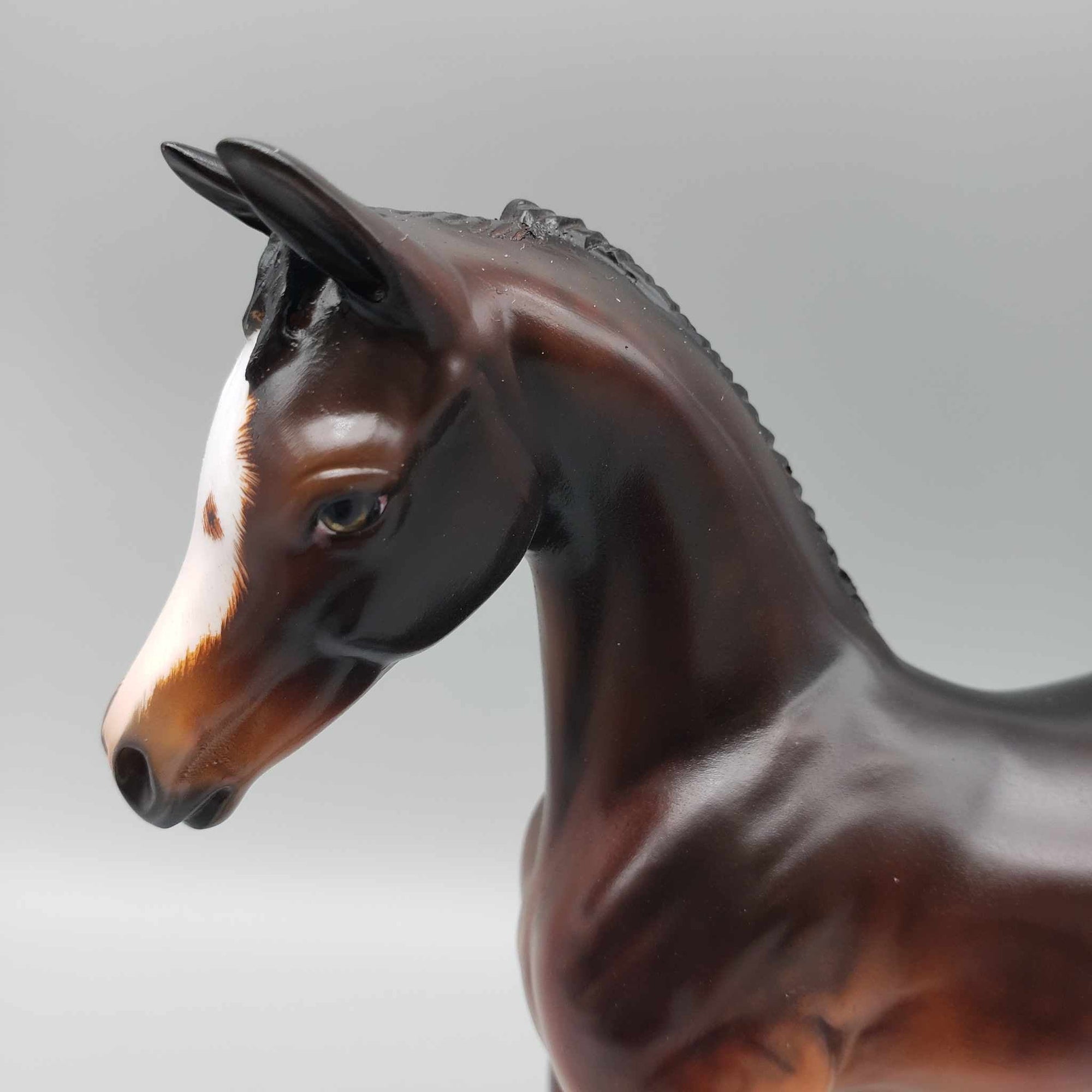 Croissant OOAK Dappled Seal Bay Arab Foal By Angela Marleau Best Offers 9/25/23