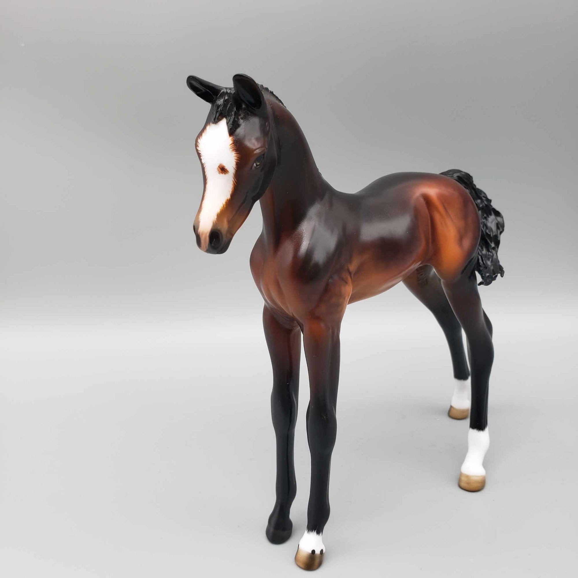 Croissant OOAK Dappled Seal Bay Arab Foal By Angela Marleau Best Offers 9/25/23