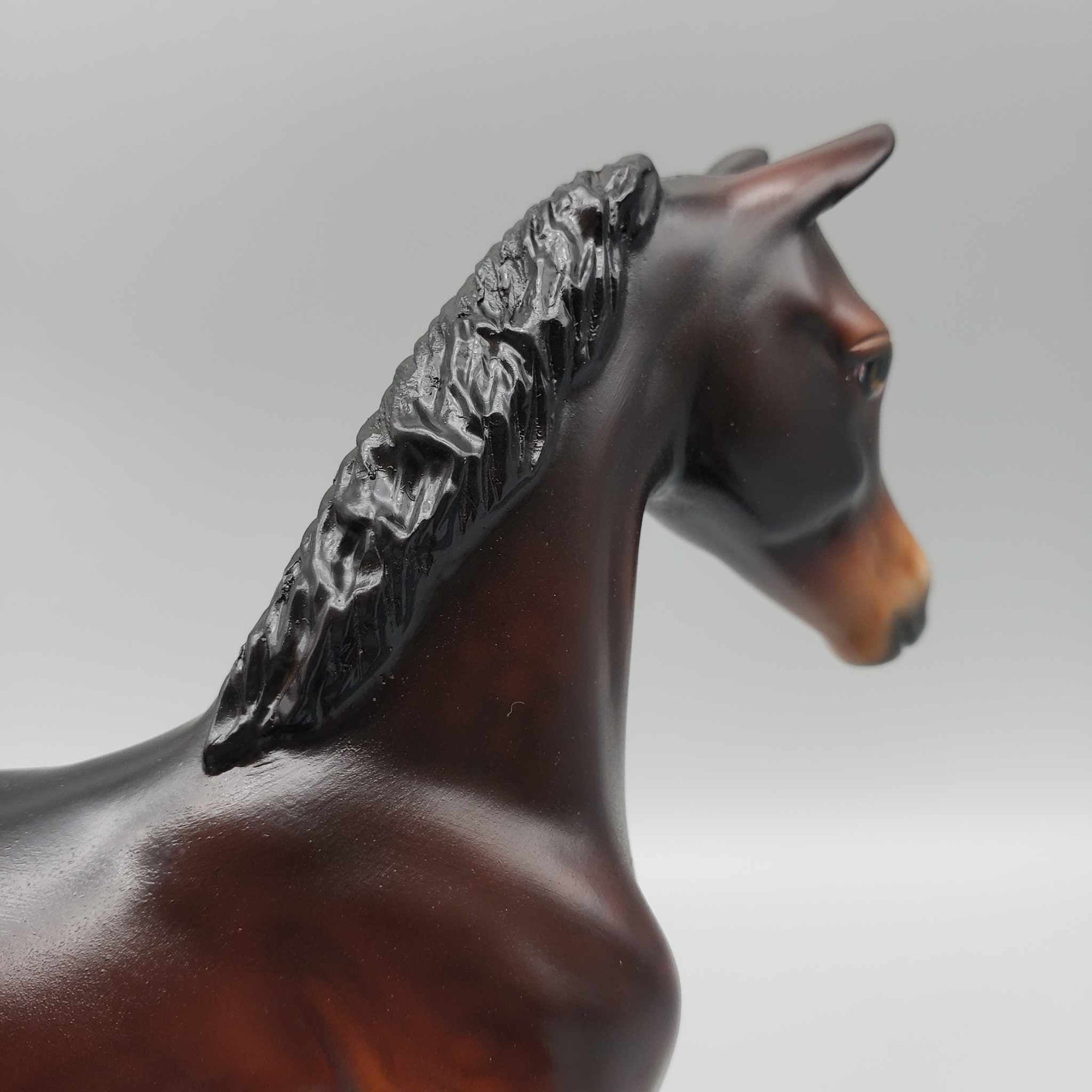 Croissant OOAK Dappled Seal Bay Arab Foal By Angela Marleau Best Offers 9/25/23