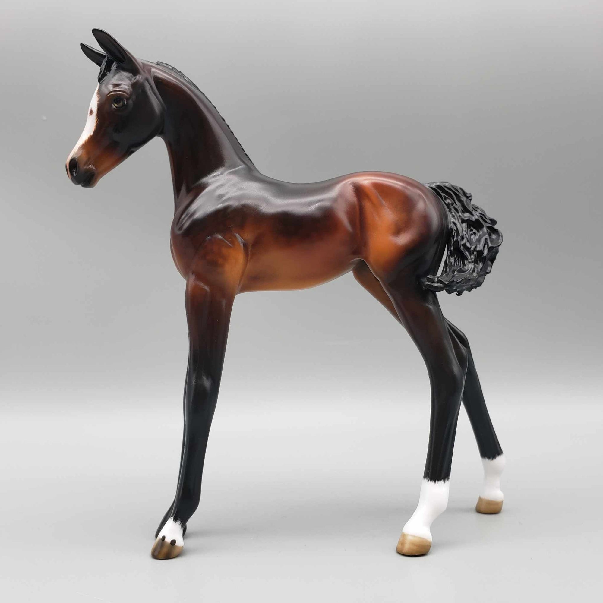 Croissant OOAK Dappled Seal Bay Arab Foal By Angela Marleau Best Offers 9/25/23