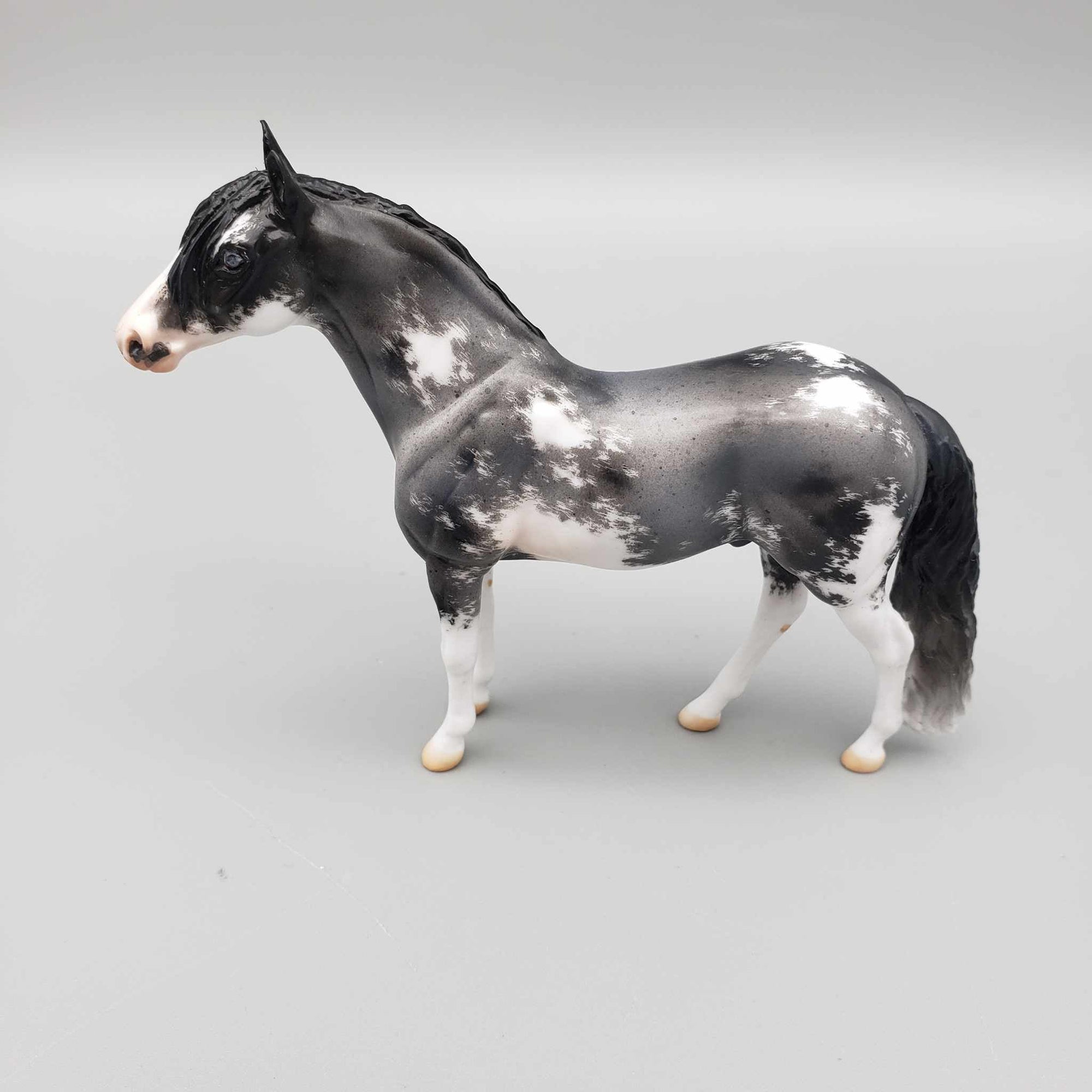 Archean OOAK Blue Roan Sabino Andalusian Chip by Jess Hamill Facebook Auction Fall Into Autumn Random Drop Sale 9/23