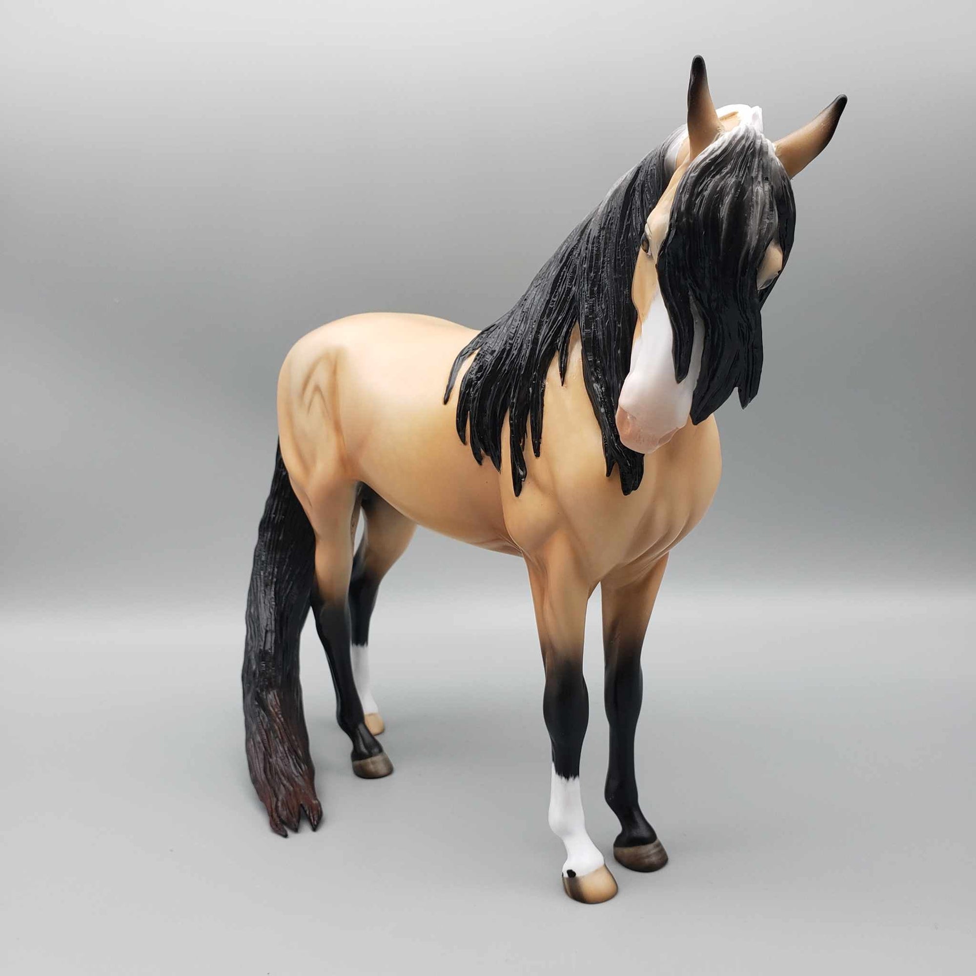 Budd OOAK Buckskin Andalusian By Angela Marleau Best Offers 9/25/23