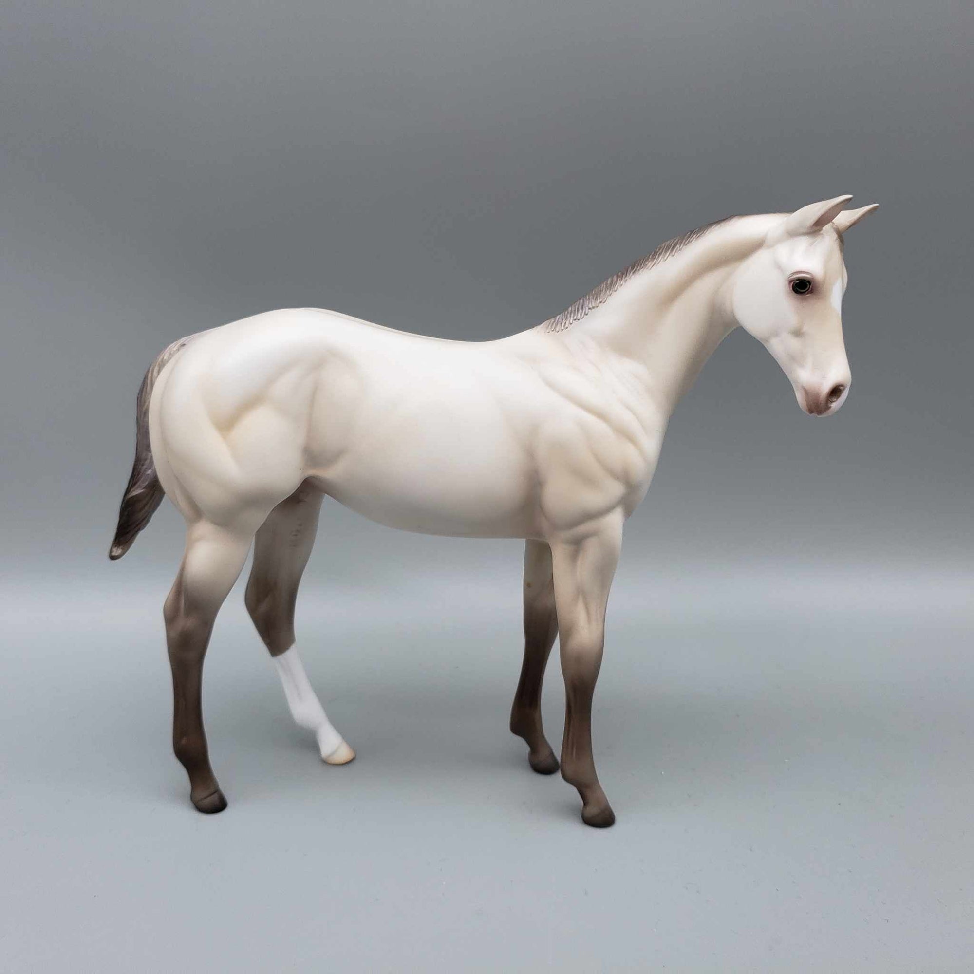 Soft 'N Fluffy OOAK Sable Ivory Cream Champagne Weanling By Ashley Palmer Fall Into Autumn Random Drop Sale 9/23