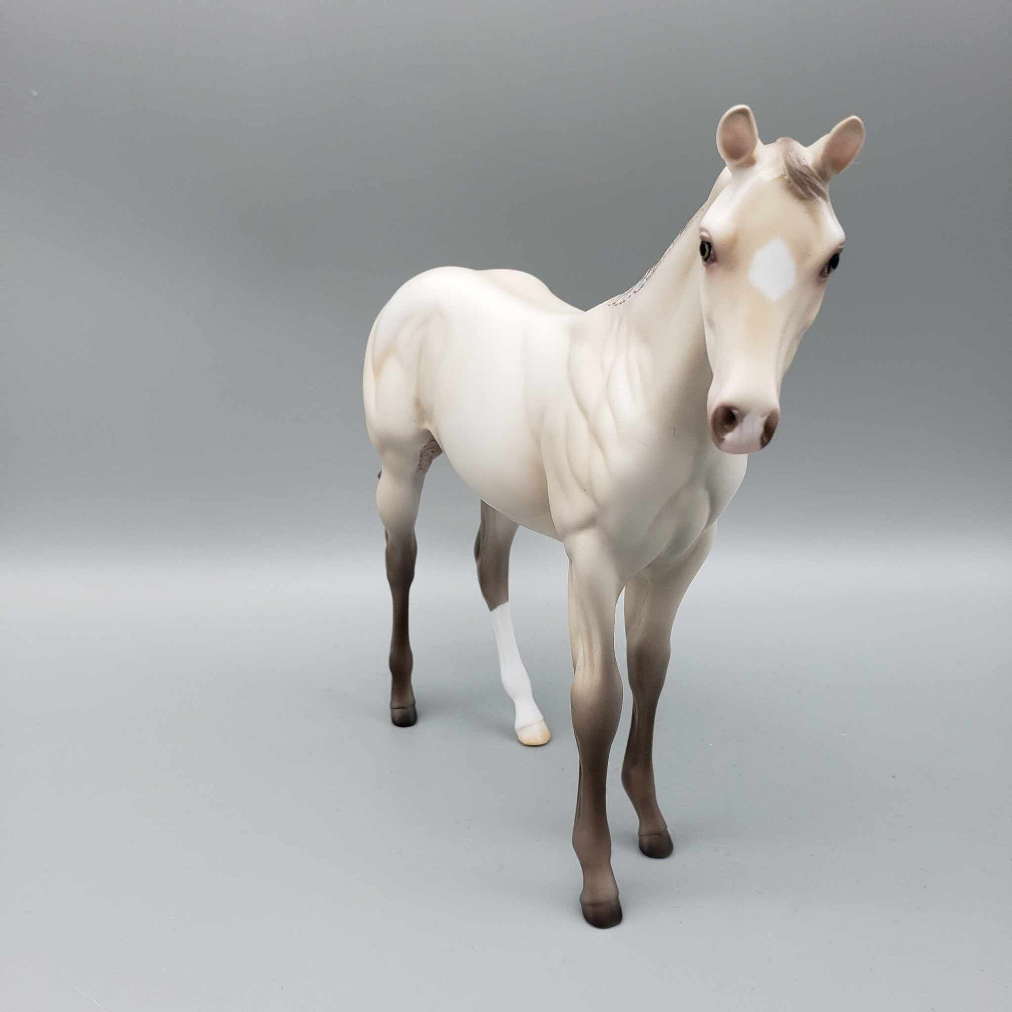 Soft 'N Fluffy OOAK Sable Ivory Cream Champagne Weanling By Ashley Palmer Fall Into Autumn Random Drop Sale 9/23