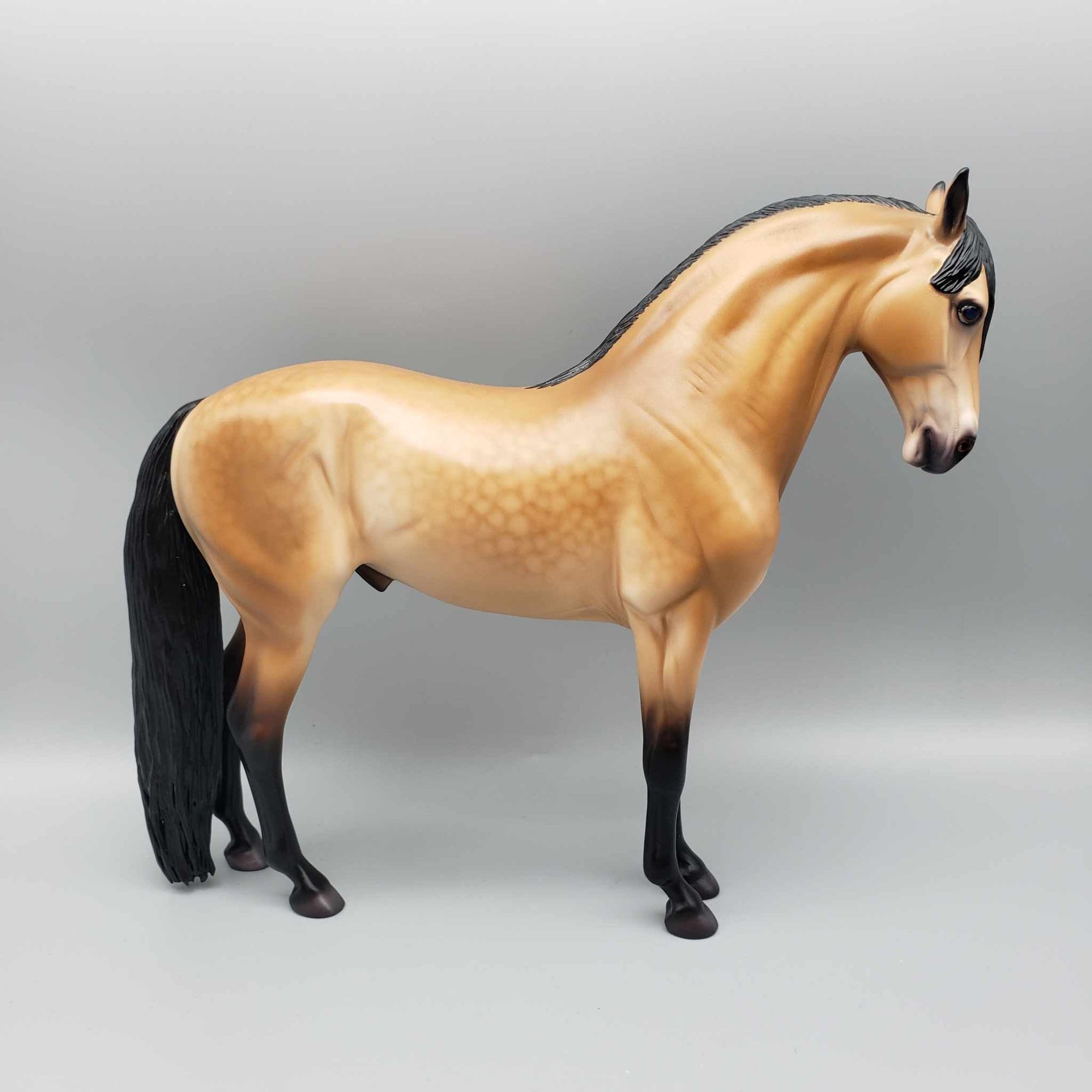 Grumman OOAK Dappled Buckskin Andalusian By Caroline Boydston Best Offer 11/13/23