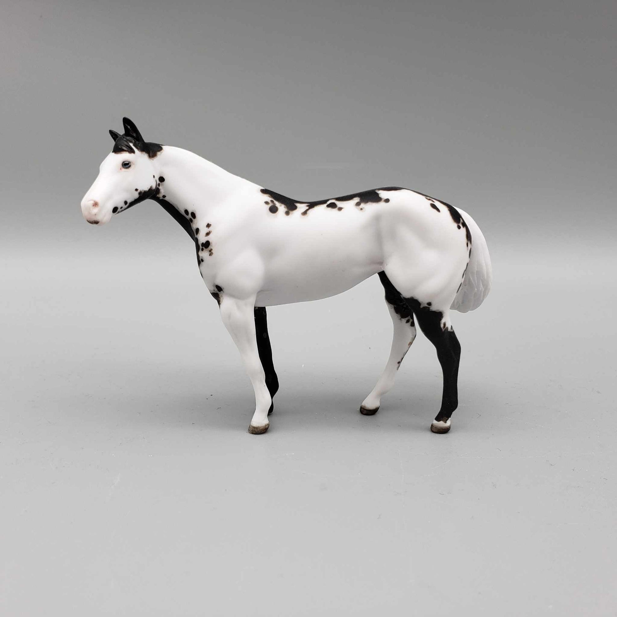 Epicore OOAK Black Overo Custom Stock Chip By Andrea Thomason Holiday Sale HS23