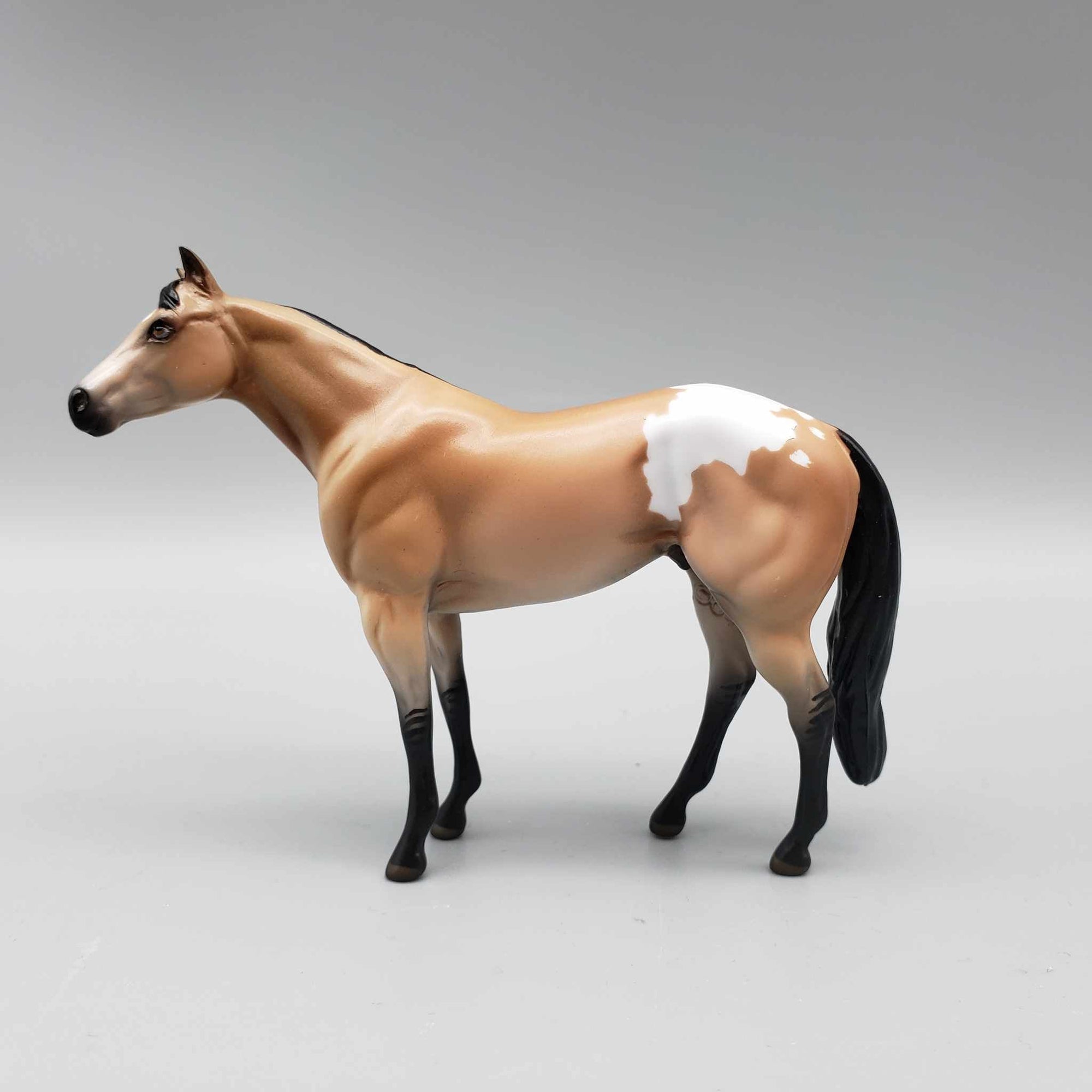 Cedar OOAK Dun Appaloosa Stock Chip By Hannah Olson Holiday Sale HS23