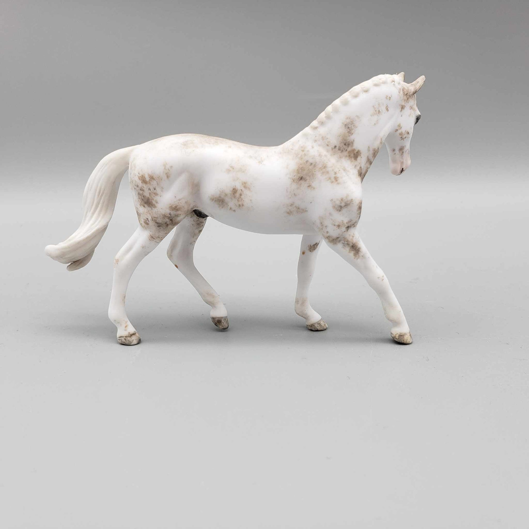 Ellison OOAK Custom Gray Sabino Warmblood Chip By Andrea Thomason Holiday Sale HS23