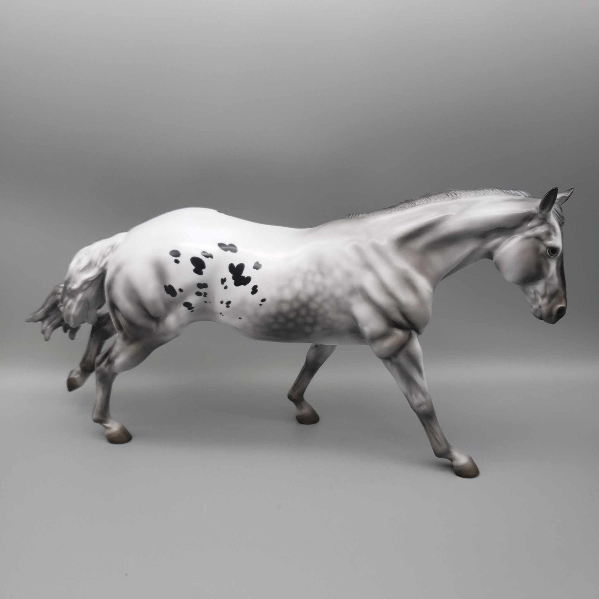 Blitzen OOAK Dappled Black Varnish Appaloosa Remington W/ Long Mane By Jess Hamill Holiday Sale HS23