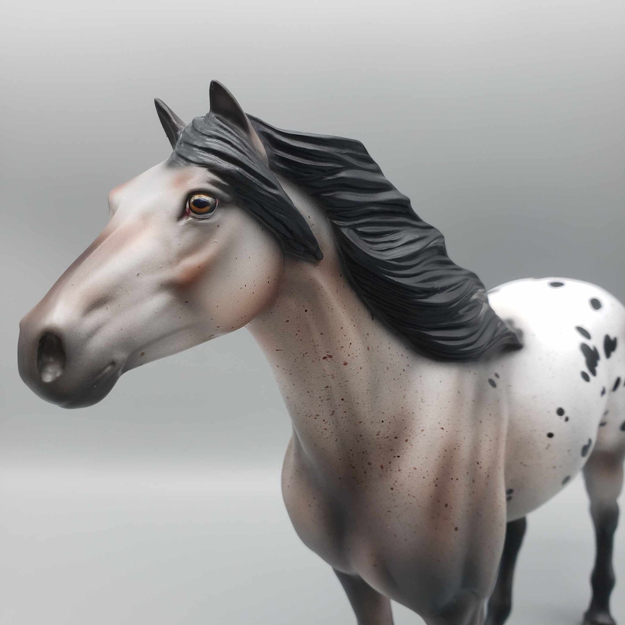 Wishes at Midnight OOAK Varnish Roan Mustang By Jess Hamill Holiday Sale HS23