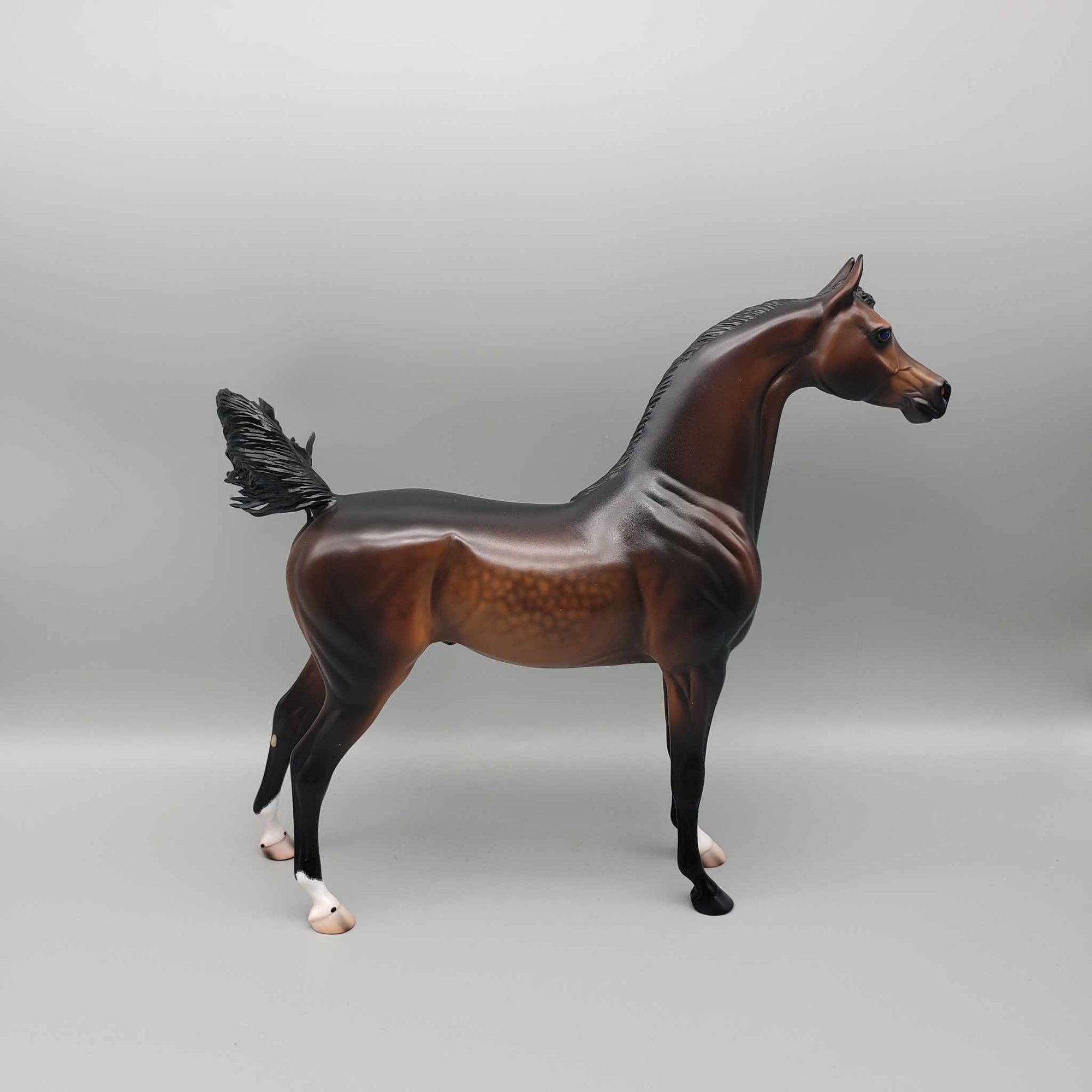 Hughes OOAK Dappled Bay Arabian By Caroline Boydston Best Offer 11/6/23