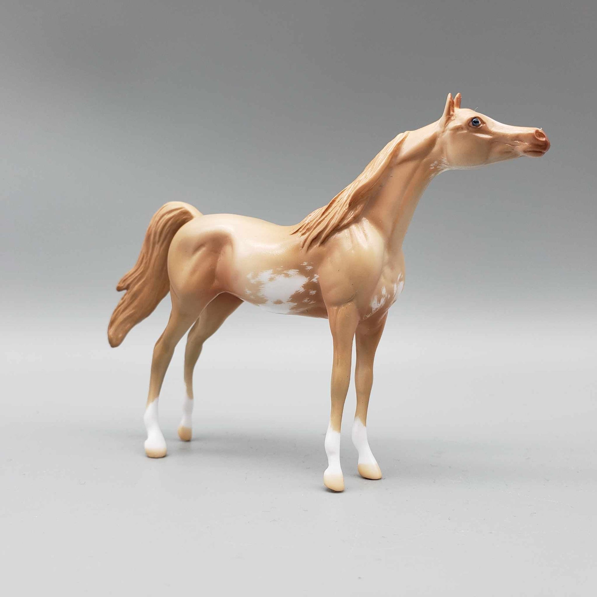 Dreams of the Future OOAK Champagne Sabino Arabian Chip By Jess Hamill New Year Sales Collection NY23