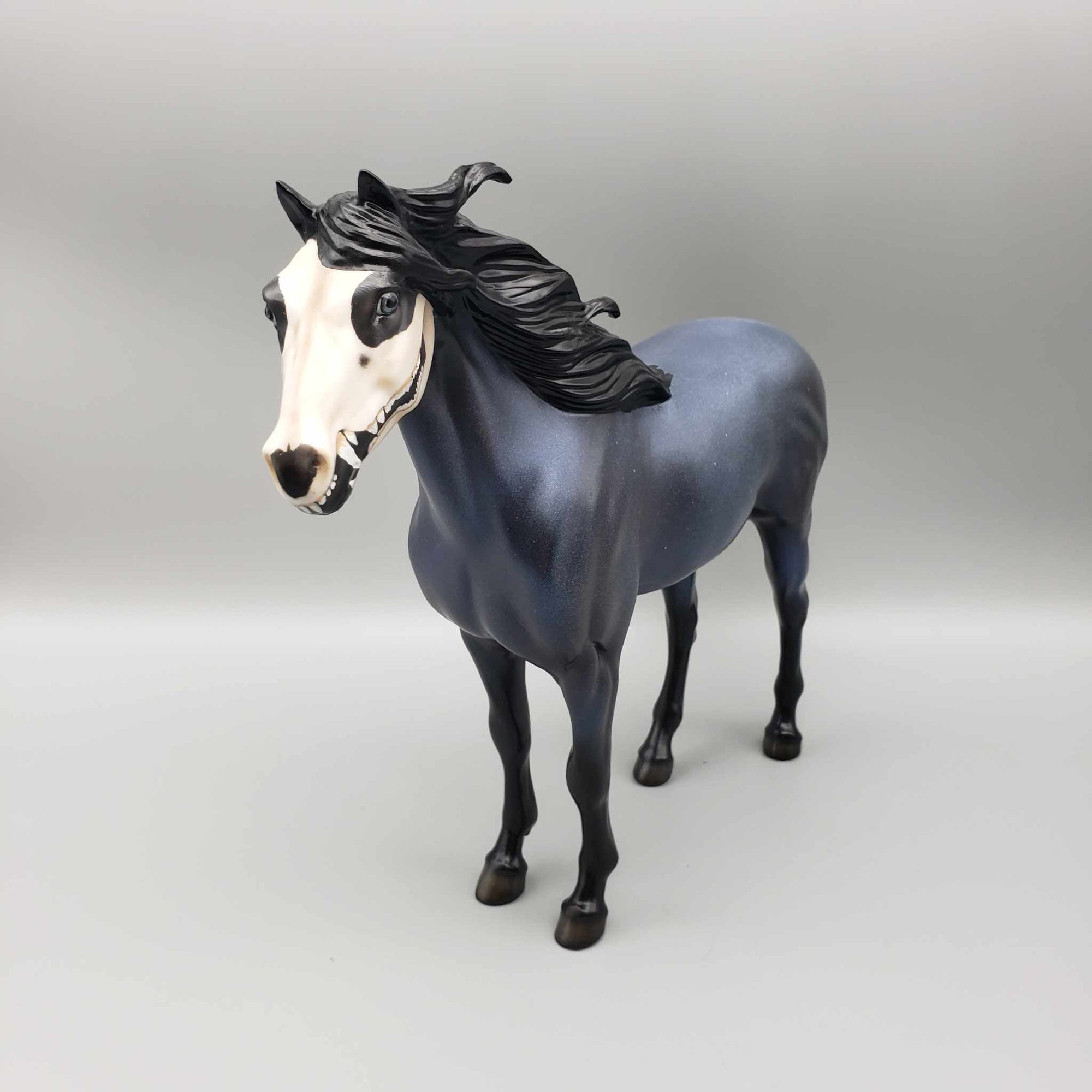 Faked My Death OOAK Halloween Deco Dark Blue Roan w/ Virginia Opossum Skull By Ellen Robins Moonlight Madness 2023 MM23