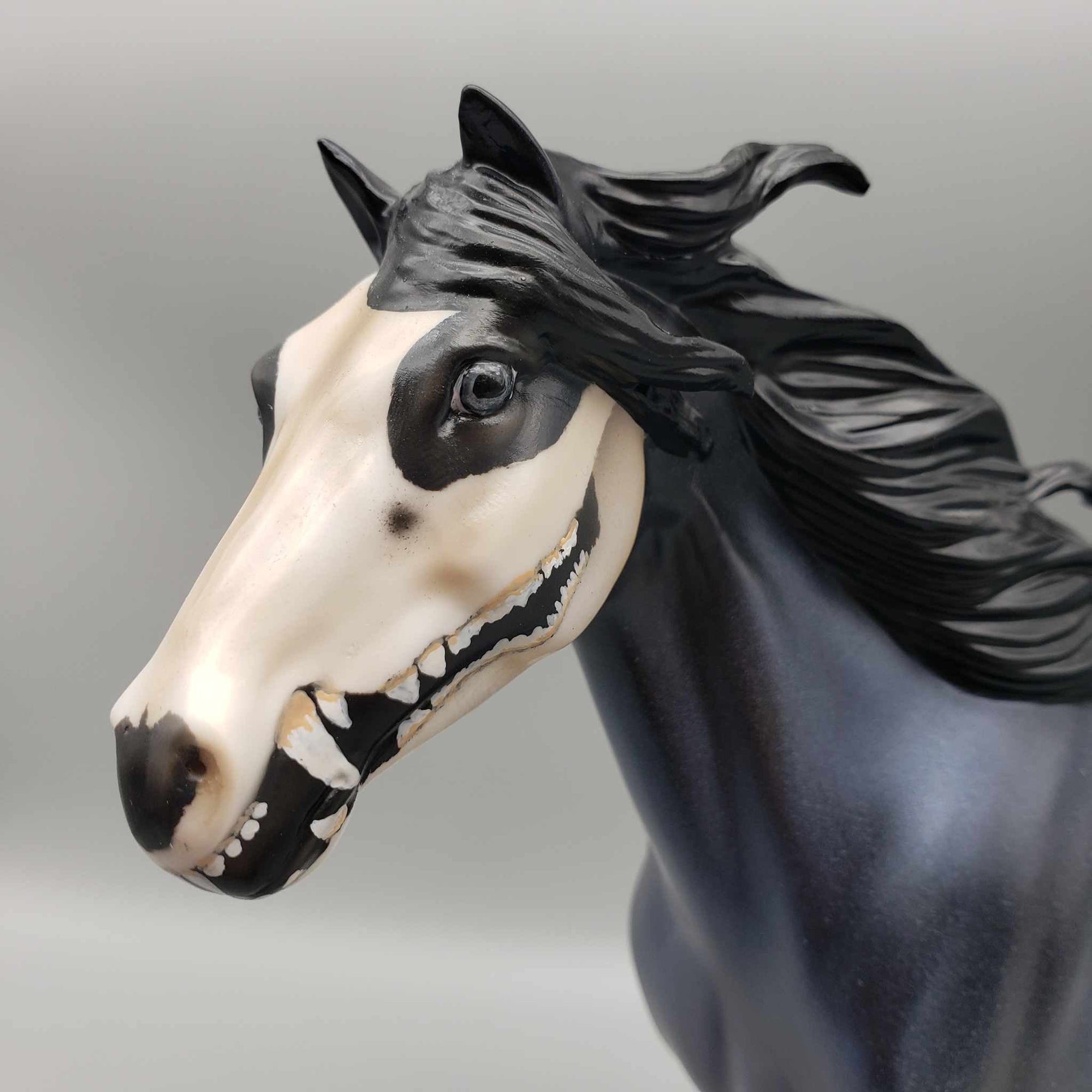 Faked My Death OOAK Halloween Deco Dark Blue Roan w/ Virginia Opossum Skull By Ellen Robins Moonlight Madness 2023 MM23