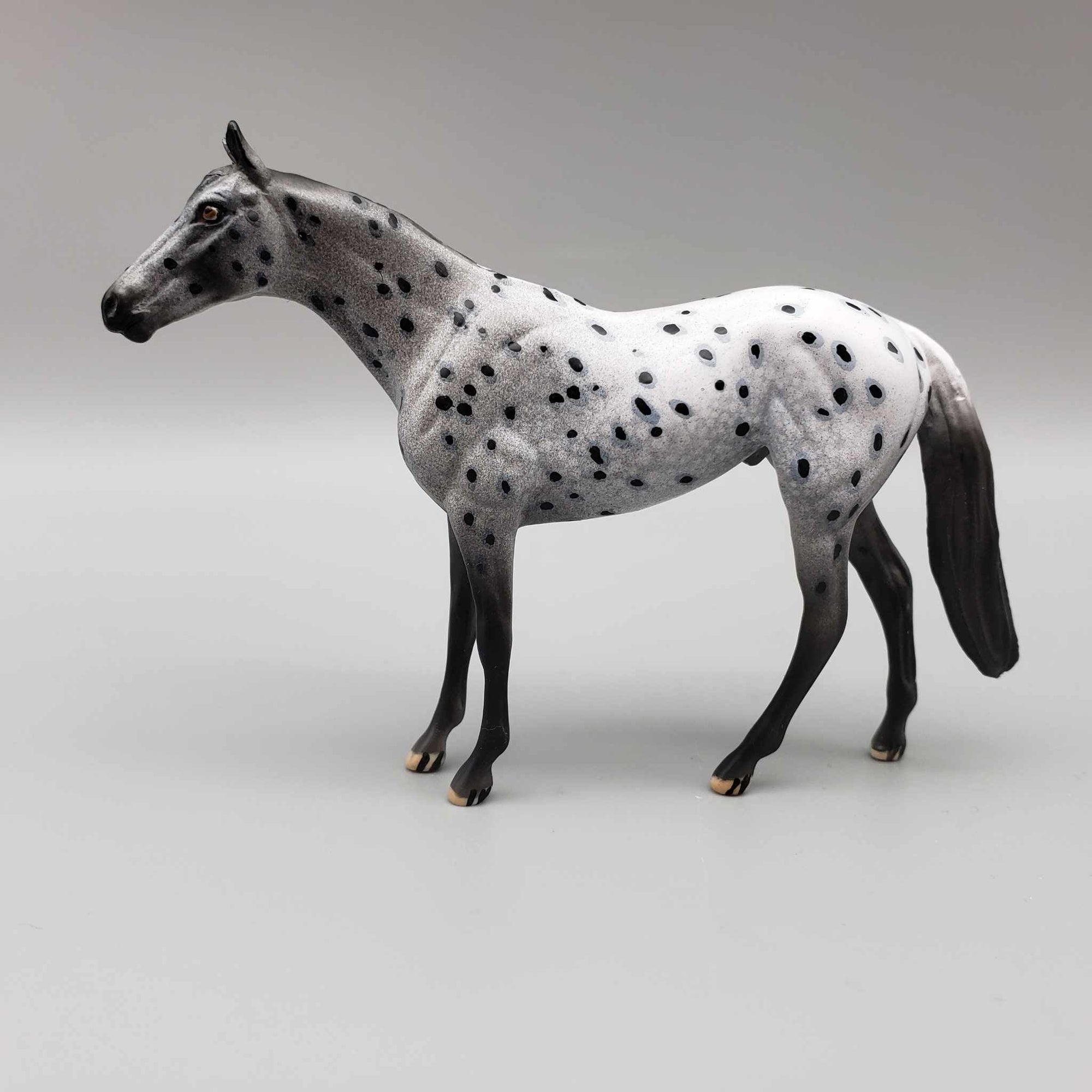Dante OOAK Black Leopard Appaloosa Thoroughbred Chip By Dawn Quick Moonlight Madness 2023 MM23