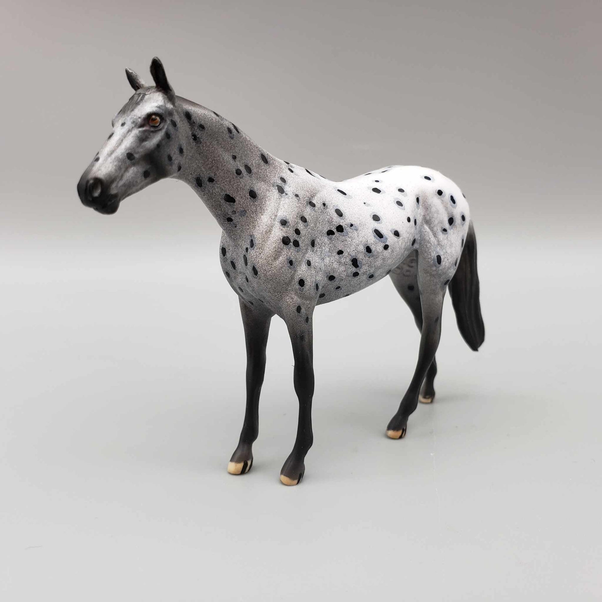 Dante OOAK Black Leopard Appaloosa Thoroughbred Chip By Dawn Quick Moonlight Madness 2023 MM23