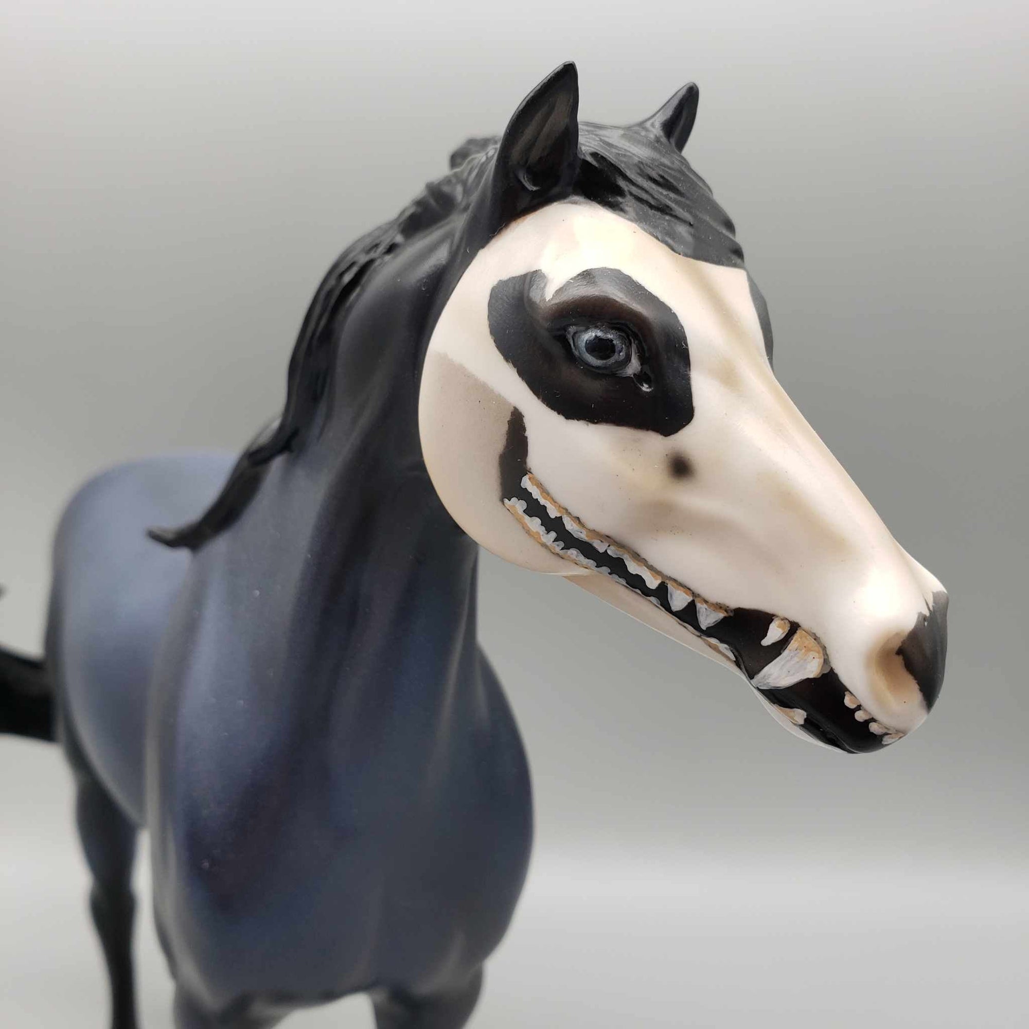 Faked My Death OOAK Halloween Deco Dark Blue Roan w/ Virginia Opossum Skull By Ellen Robins Moonlight Madness 2023 MM23