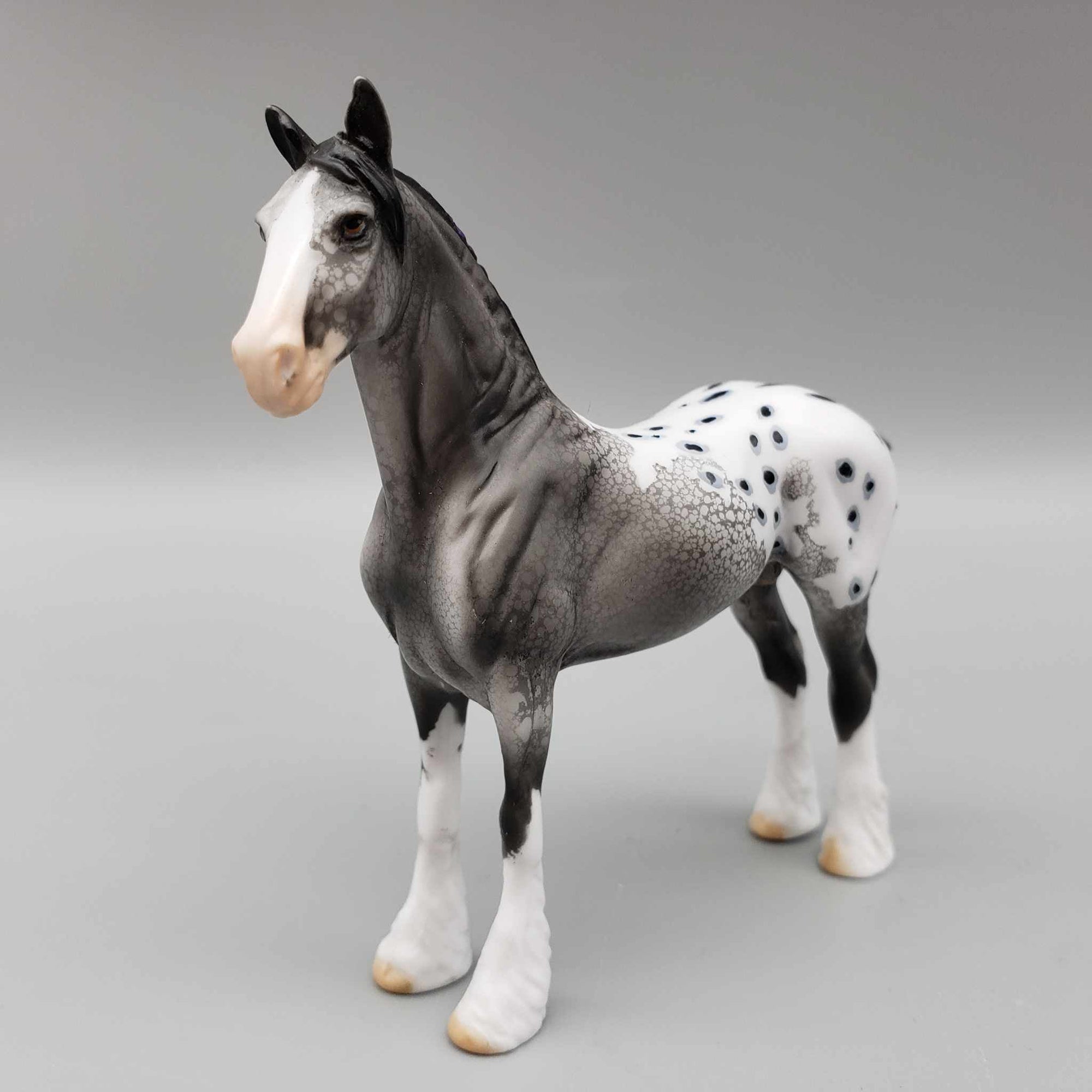 Ezra OOAK Black Blanket Appaloosa With Spots W/Purple Ribbon And Blaze Draft Chip By Dawn Quick Moonlight Madness 2023 MM23