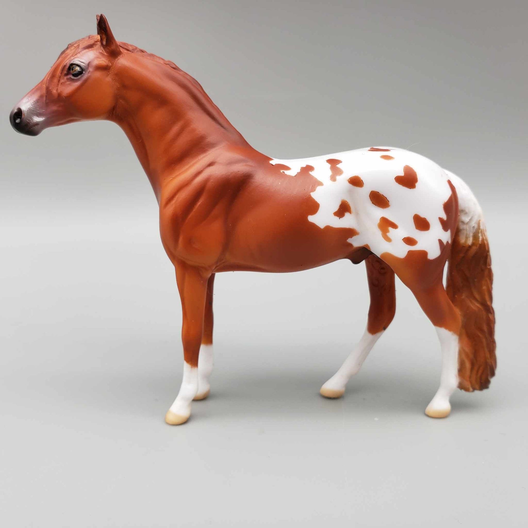 Finlay OOAK Chestnut Blanket Appaloosa W/Spots Andalusian Chip By Dawn Quick Moonlight Madness 2023 MM23