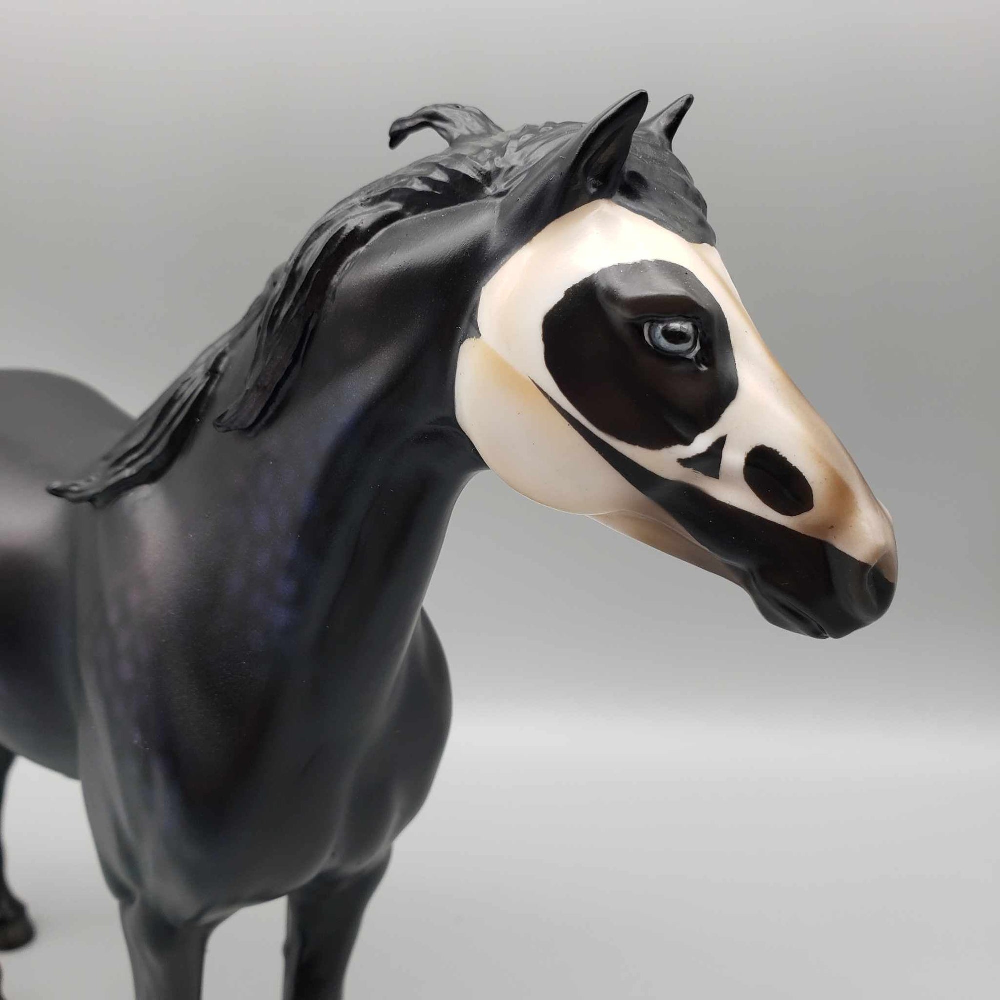 Guilt By Association OOAK Halloween Deco Dappled Raven Black w/Common Raven Skull By Ellen Robins Moonlight Madness 2023 MM23