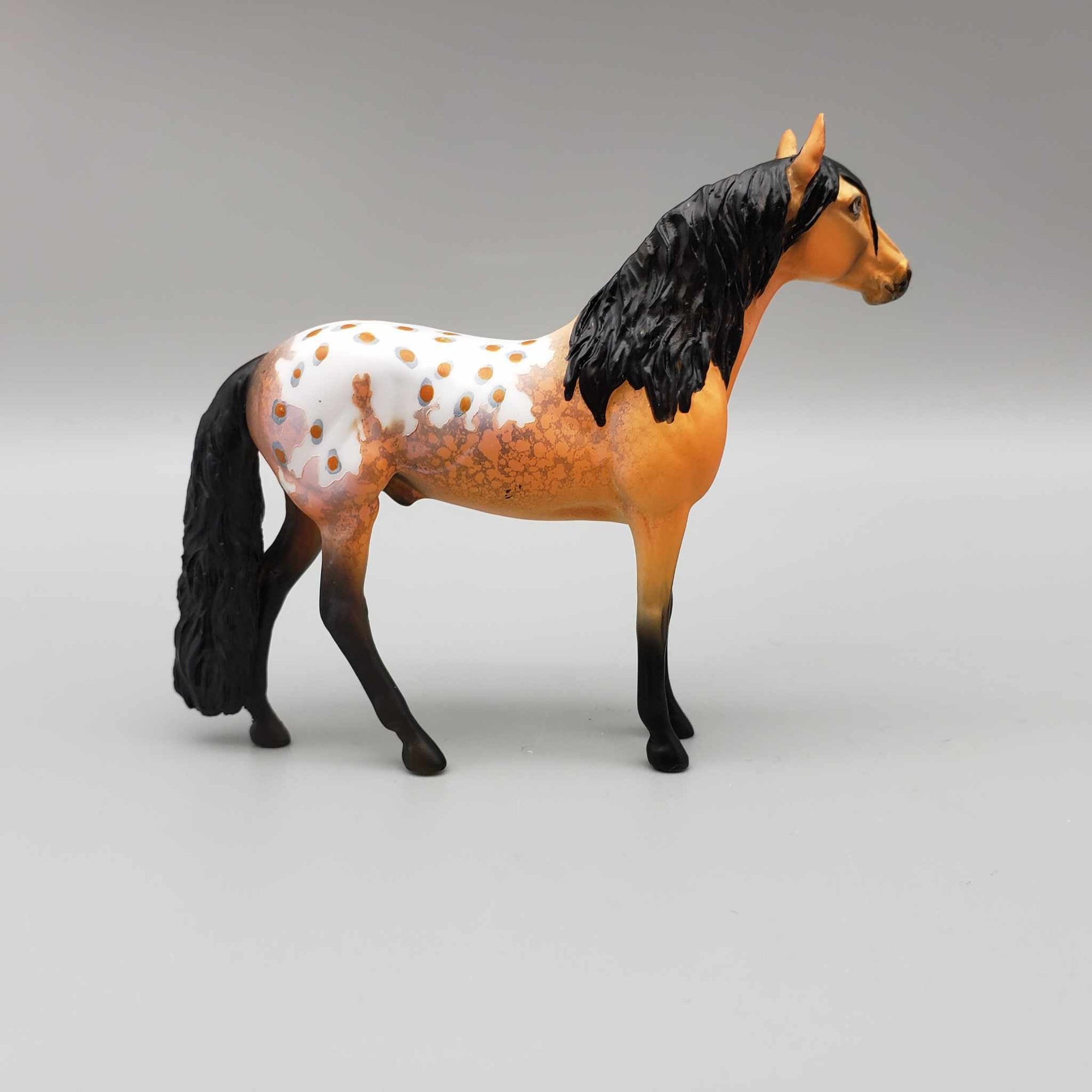 Dario OOAK Orange Buckskin Blanket Appaloosa W/Spots And Snip Andalusian Chip By Dawn Quick Moonlight Madness 2023 MM23