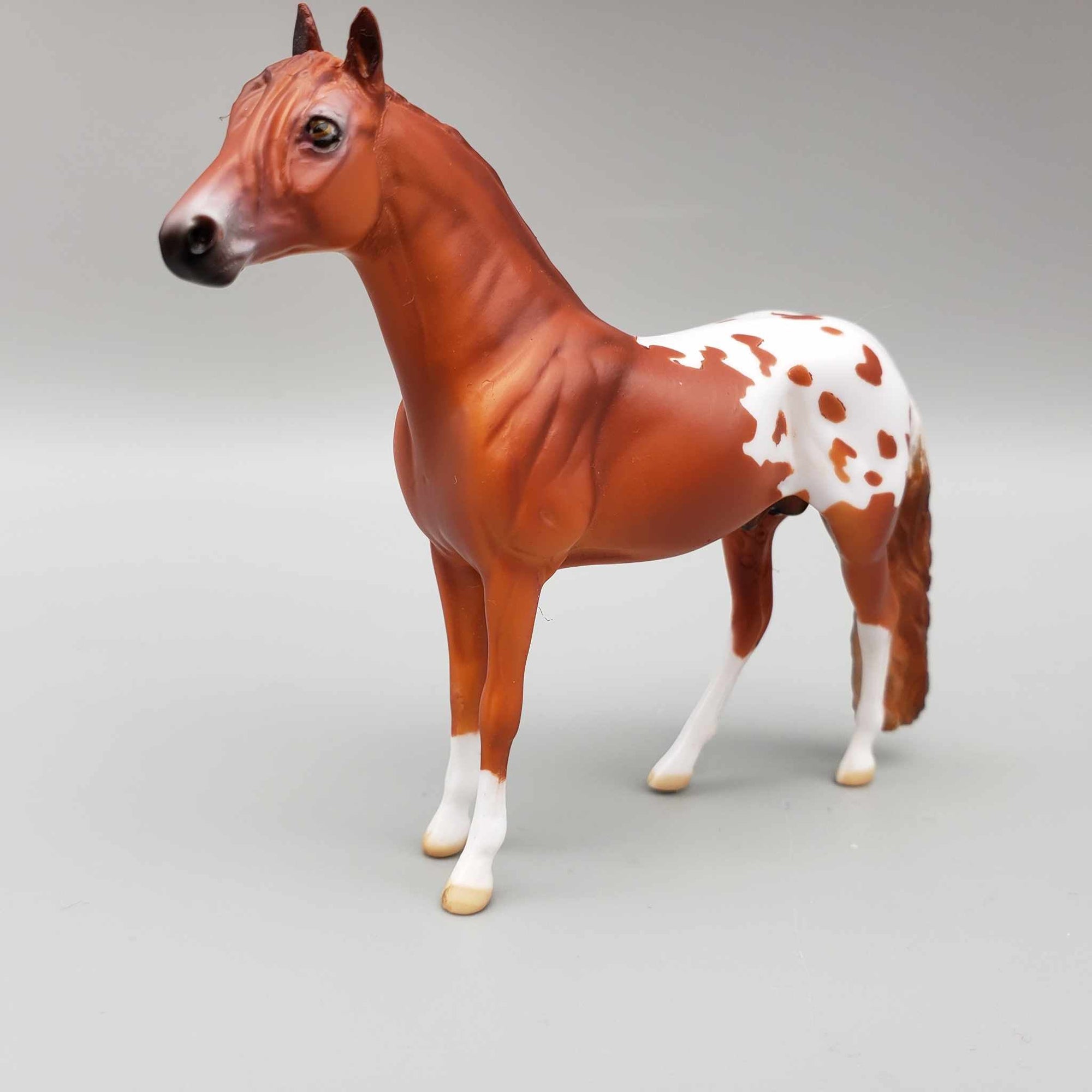 Finlay OOAK Chestnut Blanket Appaloosa W/Spots Andalusian Chip By Dawn Quick Moonlight Madness 2023 MM23