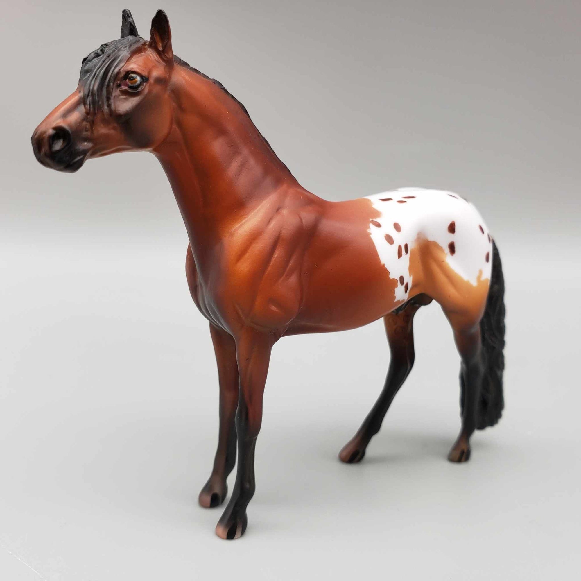 Braylon OOAK Bay Blanket Appaloosa W/Spots Andalusian Chip By Dawn Quick Moonlight Madness 2023 MM23