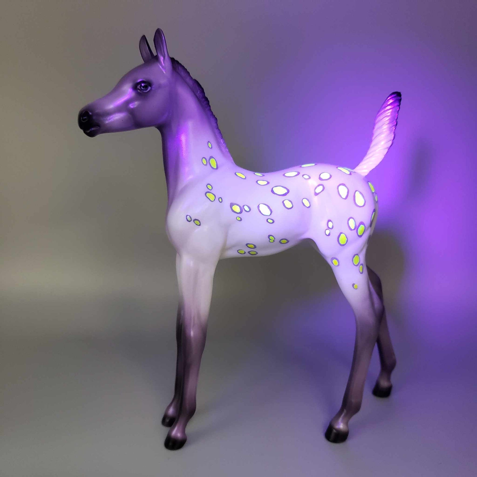 Goblins Stew OOAK Halloween Deco Purple / Orange Blanket Appaloosa W/ Blacklight Arabian Foal Pebble By Ellen Robbins Moonlight Madness 2023 MM23