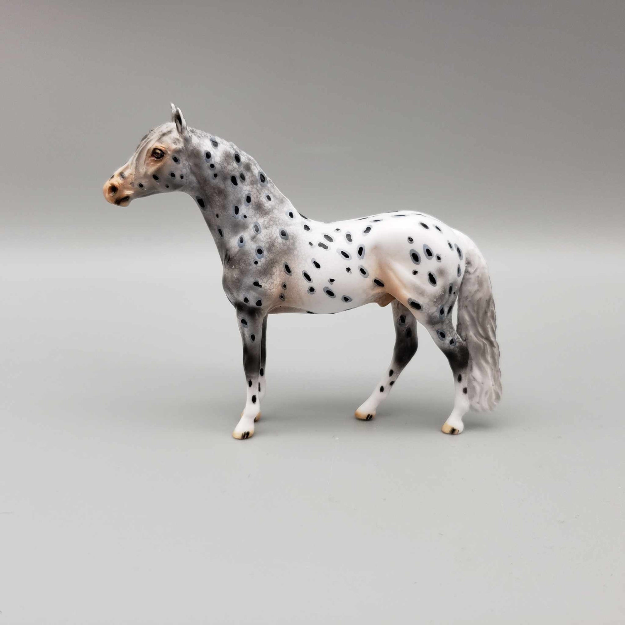 Hernan OOAK Black Leopard Appaloosa W/Pink Nose Andalusian Chip By Dawn Quick Moonlight Madness 2023 MM23