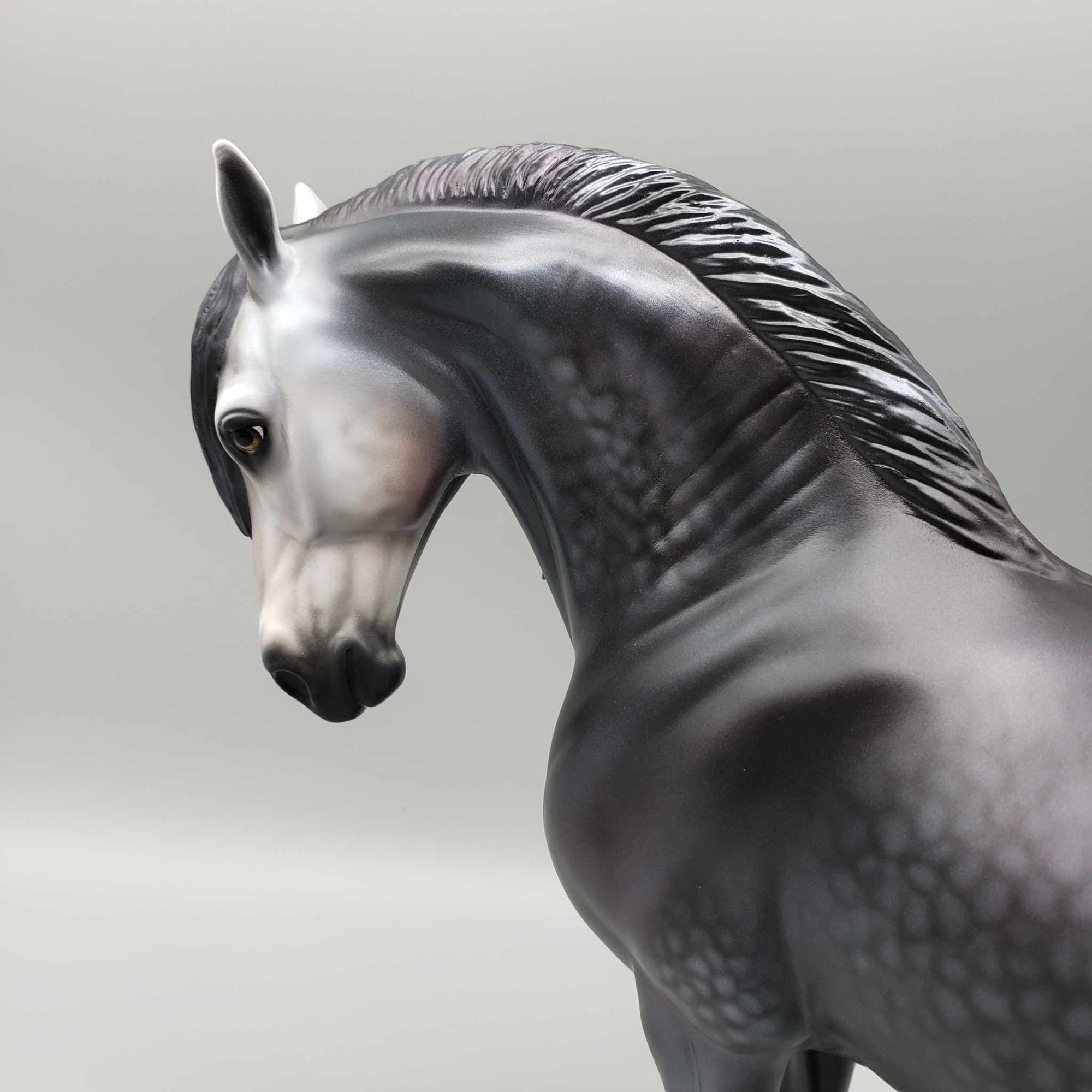 Luna del Cazardor OOAK Dappled Black Going Grey Andalusian By Carrie Keller BEST OFFER Moonlight Madness 2023 MM23