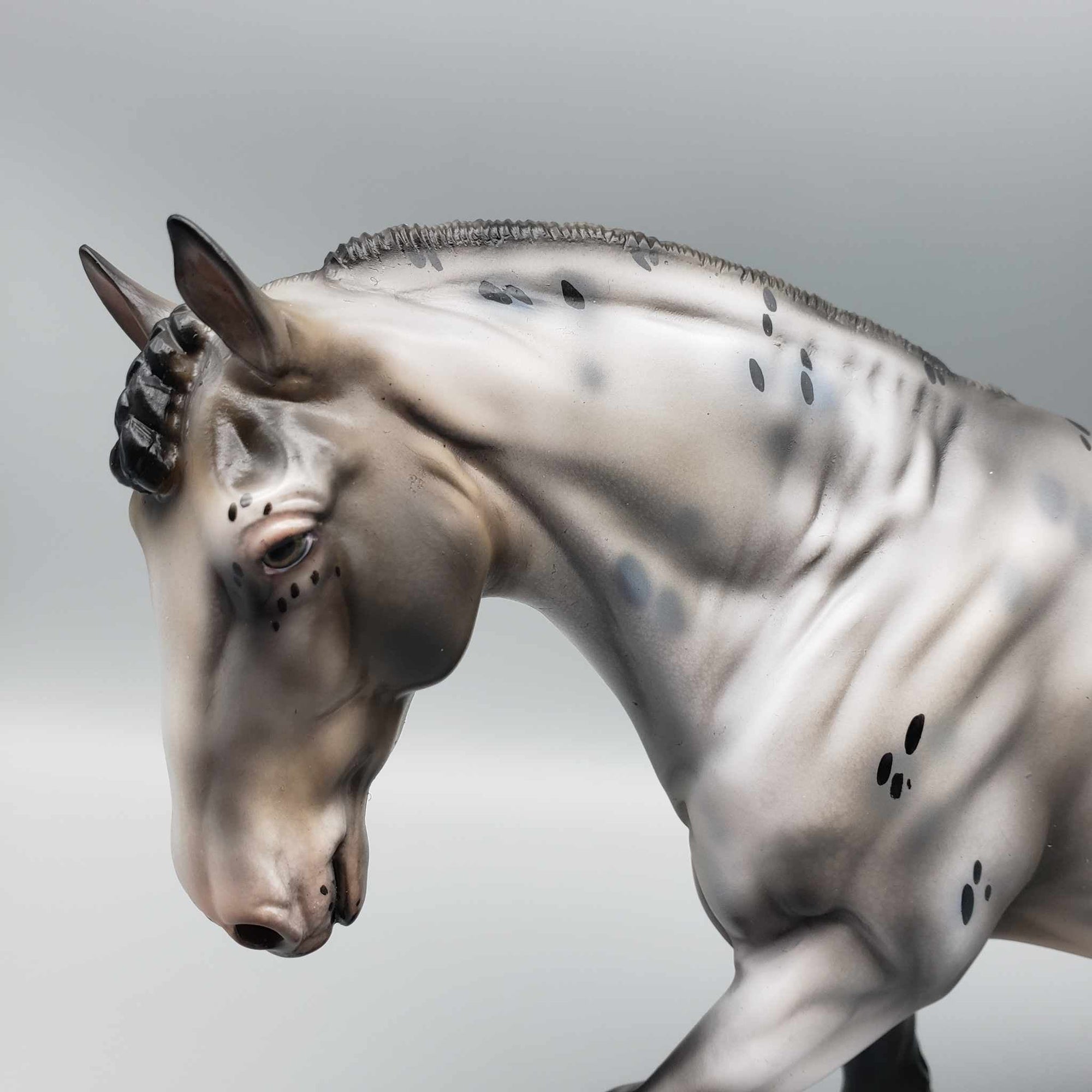 Holiday LE 30 Run Appaloosa Irish Cob By Julie Keim Holiday Sale HS23