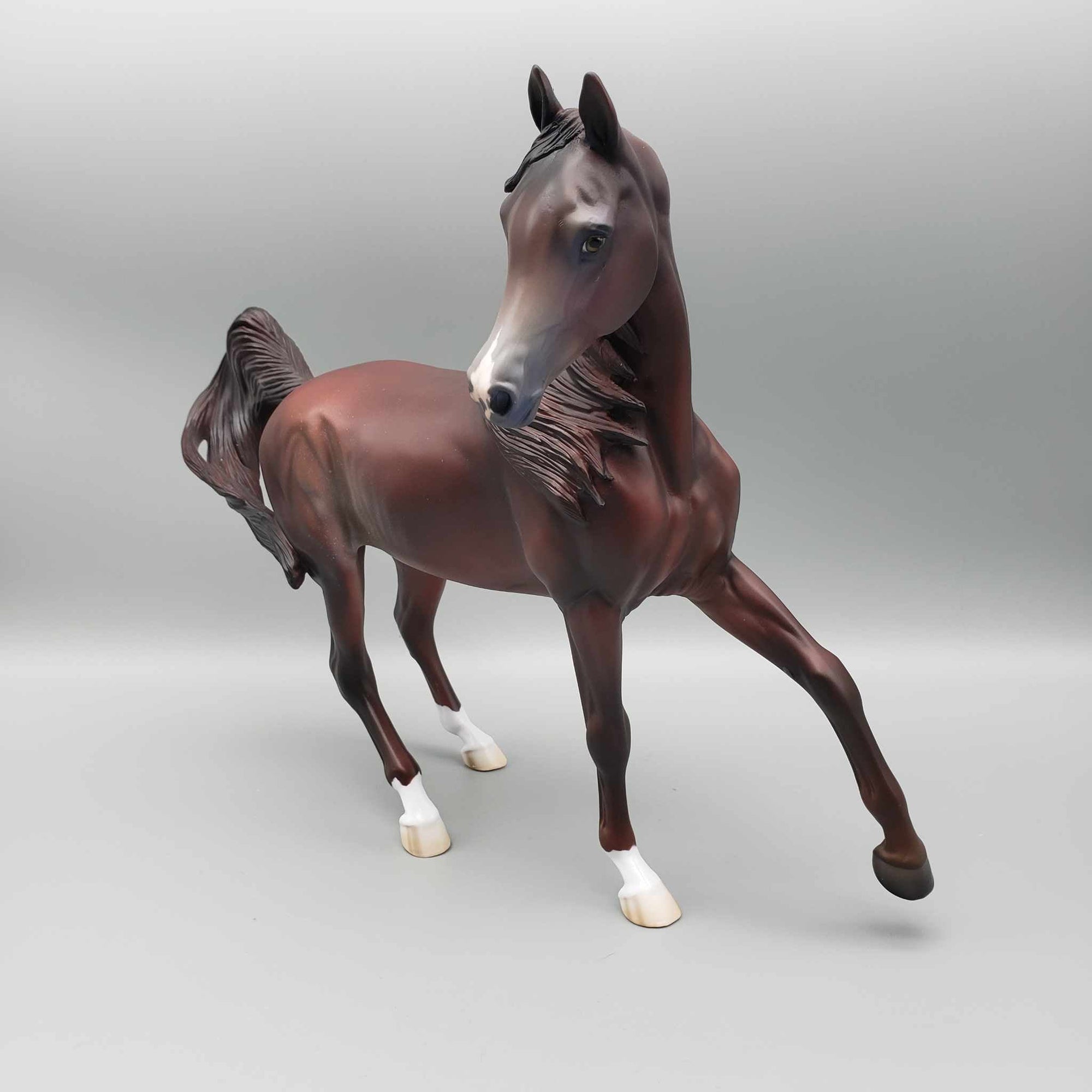 Peppermint Cocoa LE 15 Run Liver Chestnut with Rabicano Arab Mare By Jess Hamill Holiday Sale HS23