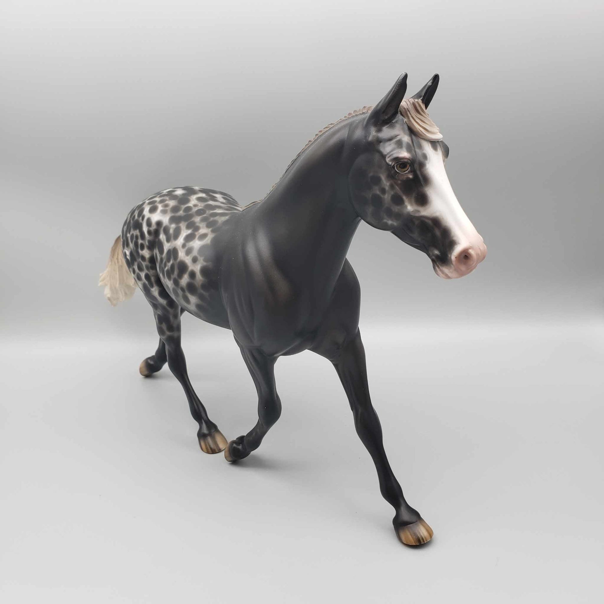 Blackberry Pie OOAK Black Appaloosa Palouse By Sheryl Leisure Best Offers 12/26/23