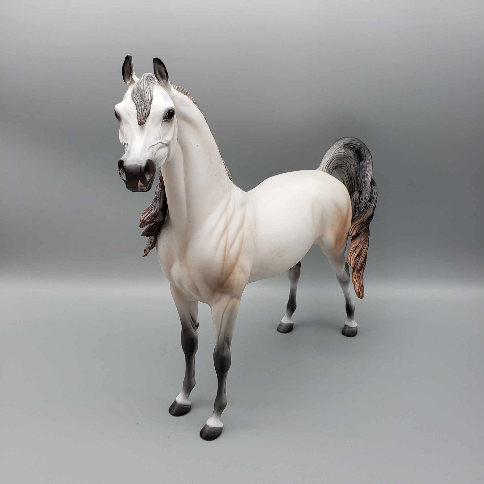 Malak OOAK Dapple Fleabitten Buckskin Going Gray Arabian By Ellen Robbins Holiday Sale HS23