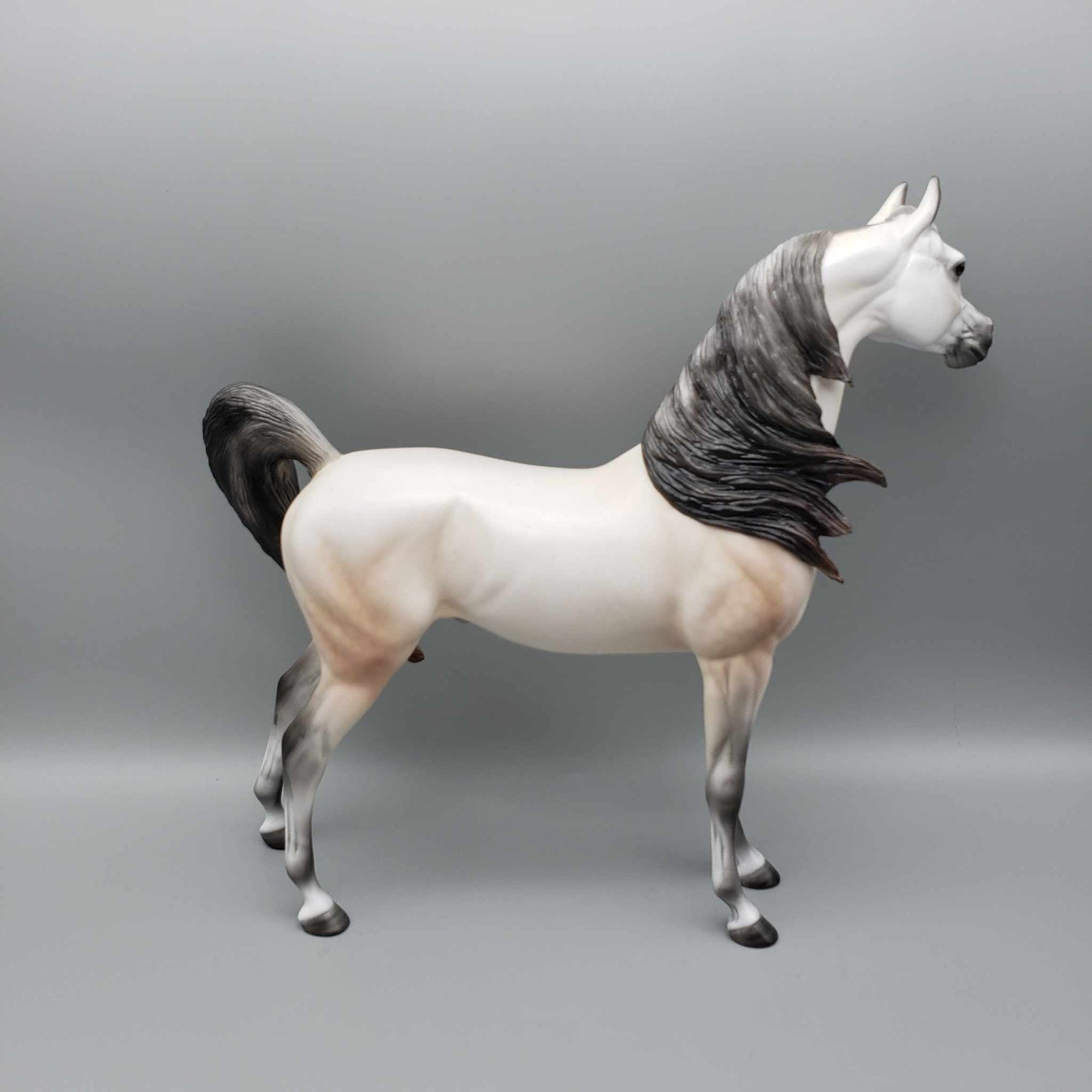 Malak OOAK Dapple Fleabitten Buckskin Going Gray Arabian By Ellen Robbins Holiday Sale HS23