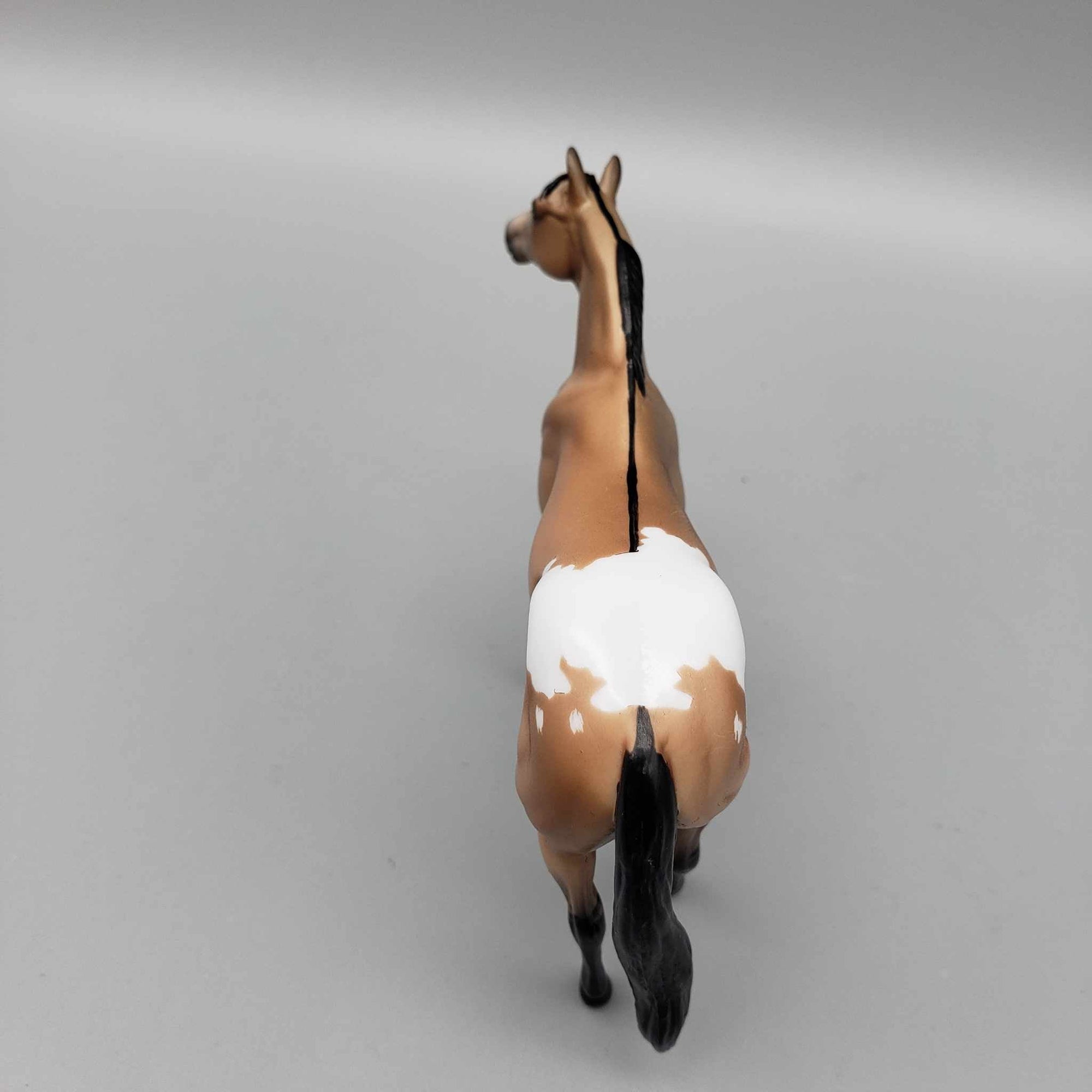 Cedar OOAK Dun Appaloosa Stock Chip By Hannah Olson Holiday Sale HS23