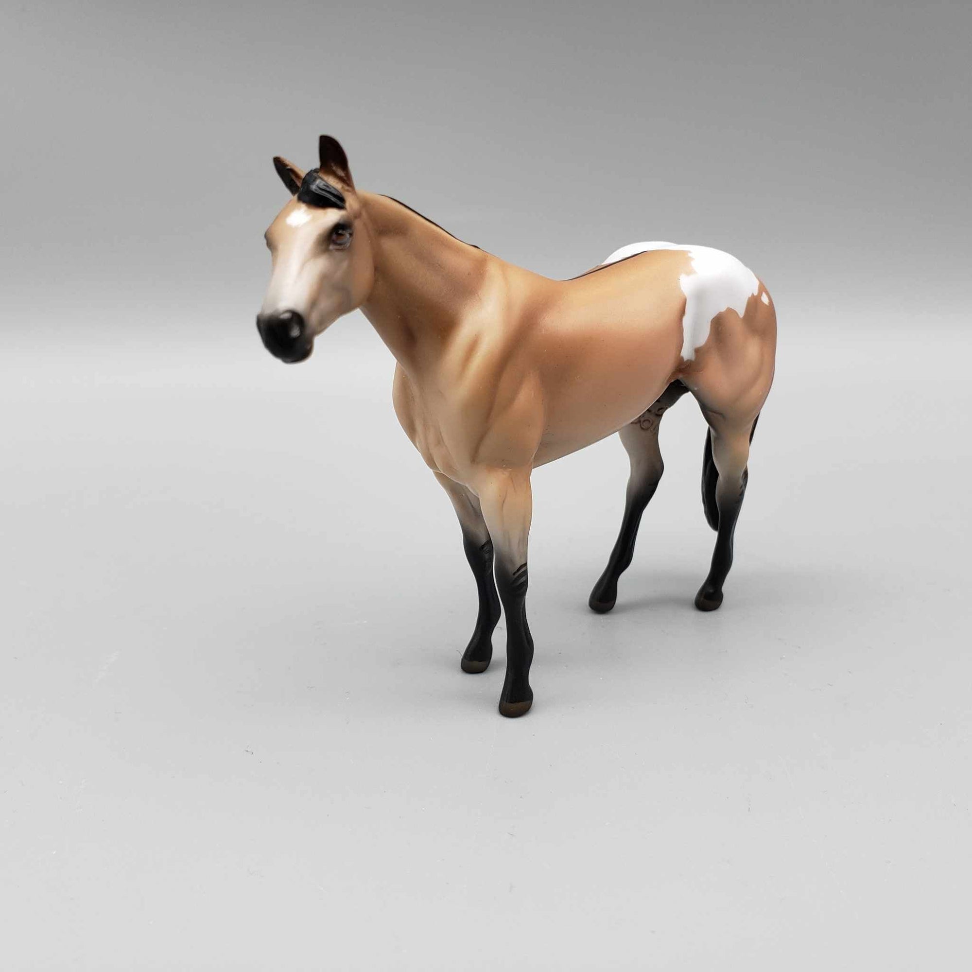 Cedar OOAK Dun Appaloosa Stock Chip By Hannah Olson Holiday Sale HS23