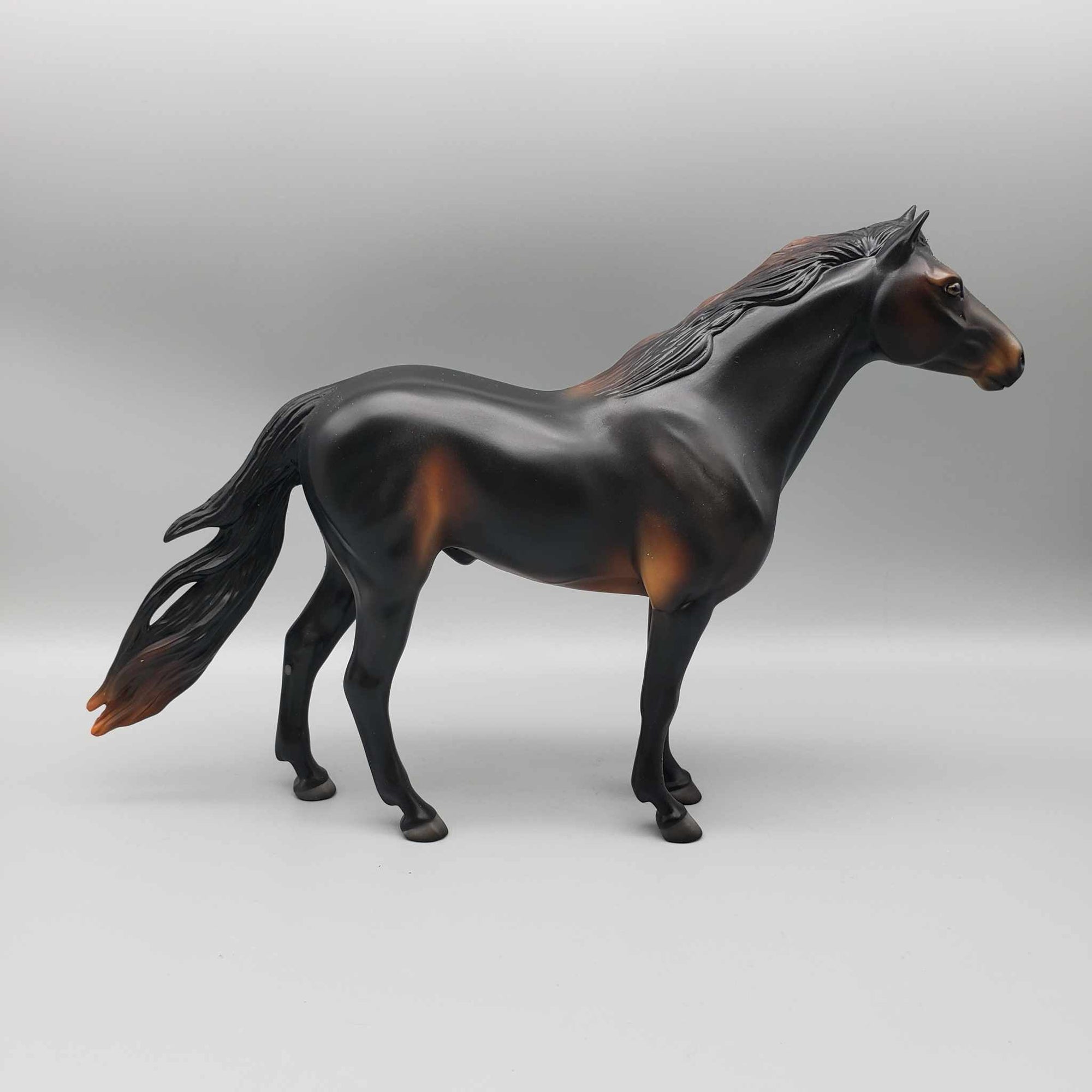 Dark Chocolate Delight OOAK Seal Bay Mustang by Angela Marleau Holiday Sale HS23