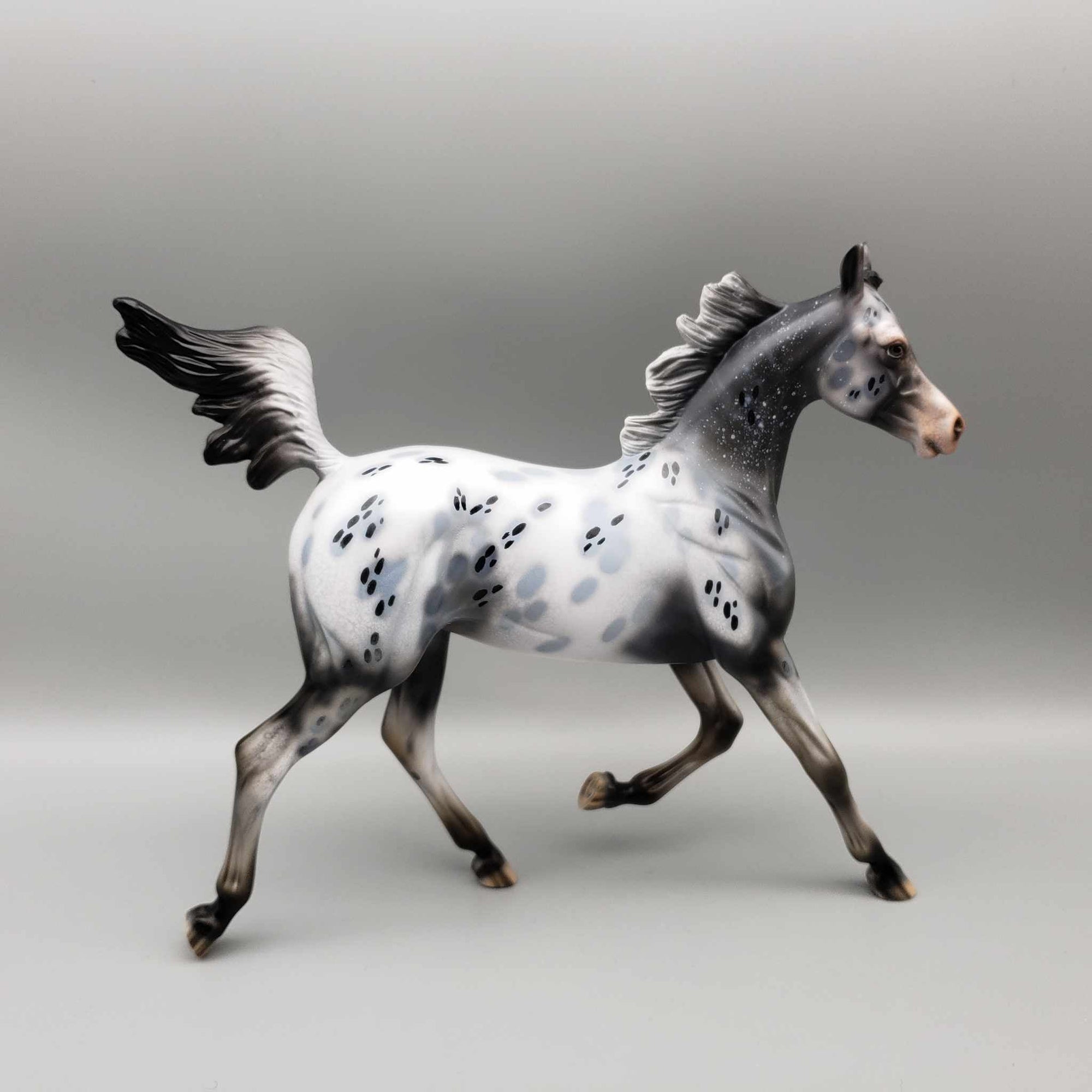 Countdown Confetti OOAK Appaloosa Yearling By Dawn Quick New Year Sales Collection NY23