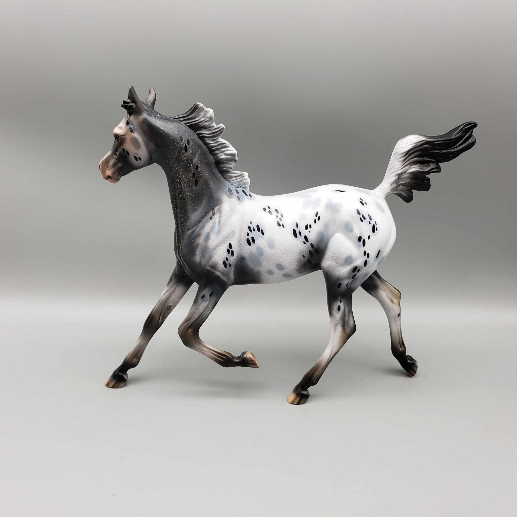 Countdown Confetti OOAK Appaloosa Yearling By Dawn Quick New Year Sales Collection NY23