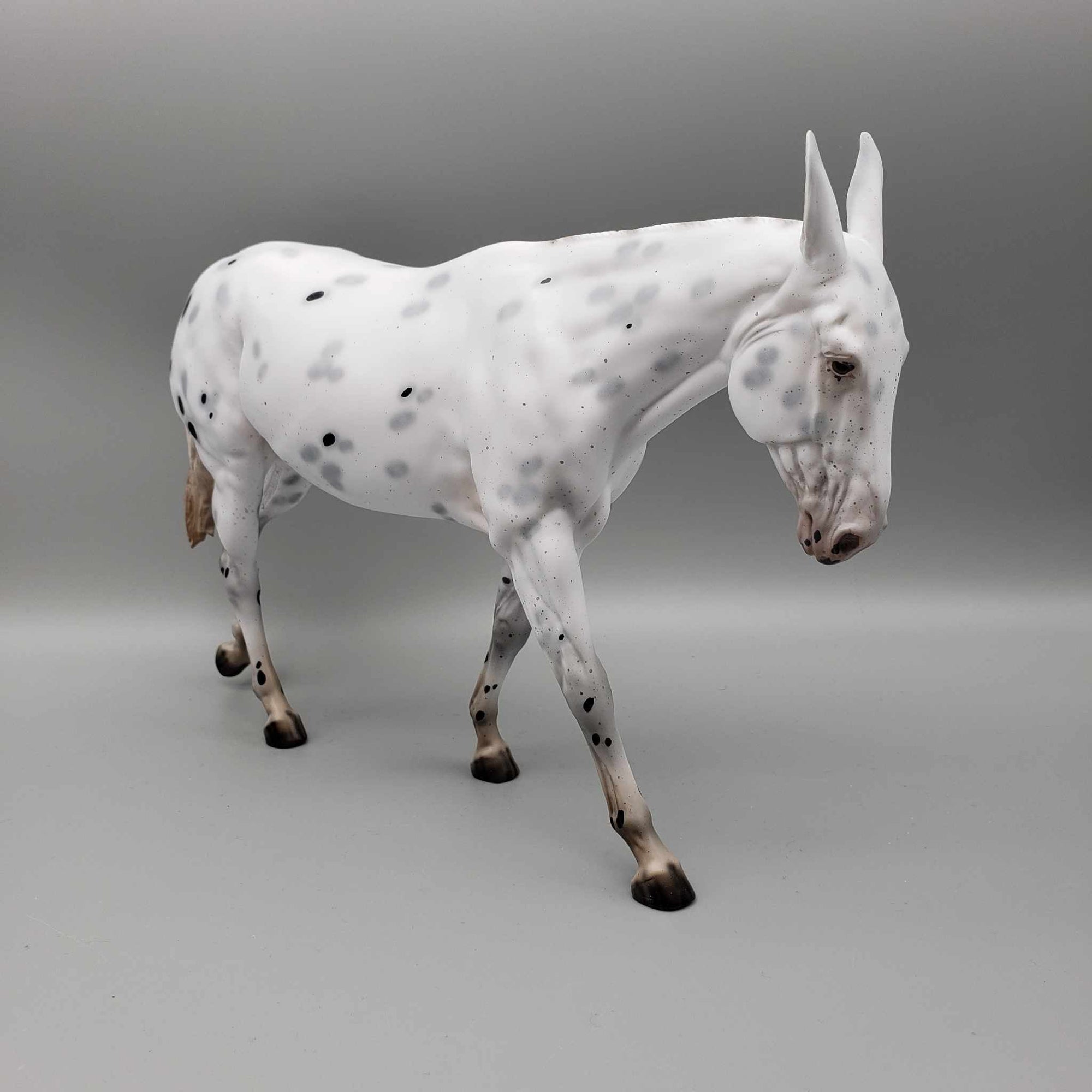 Ebenezer Scrooge from A Christmas Carol LE-31 Black Appaloosa Going Grey Pinned Ear Gelding Mule 😍 By Ellen Robbins Classic Literature 2023 CL23