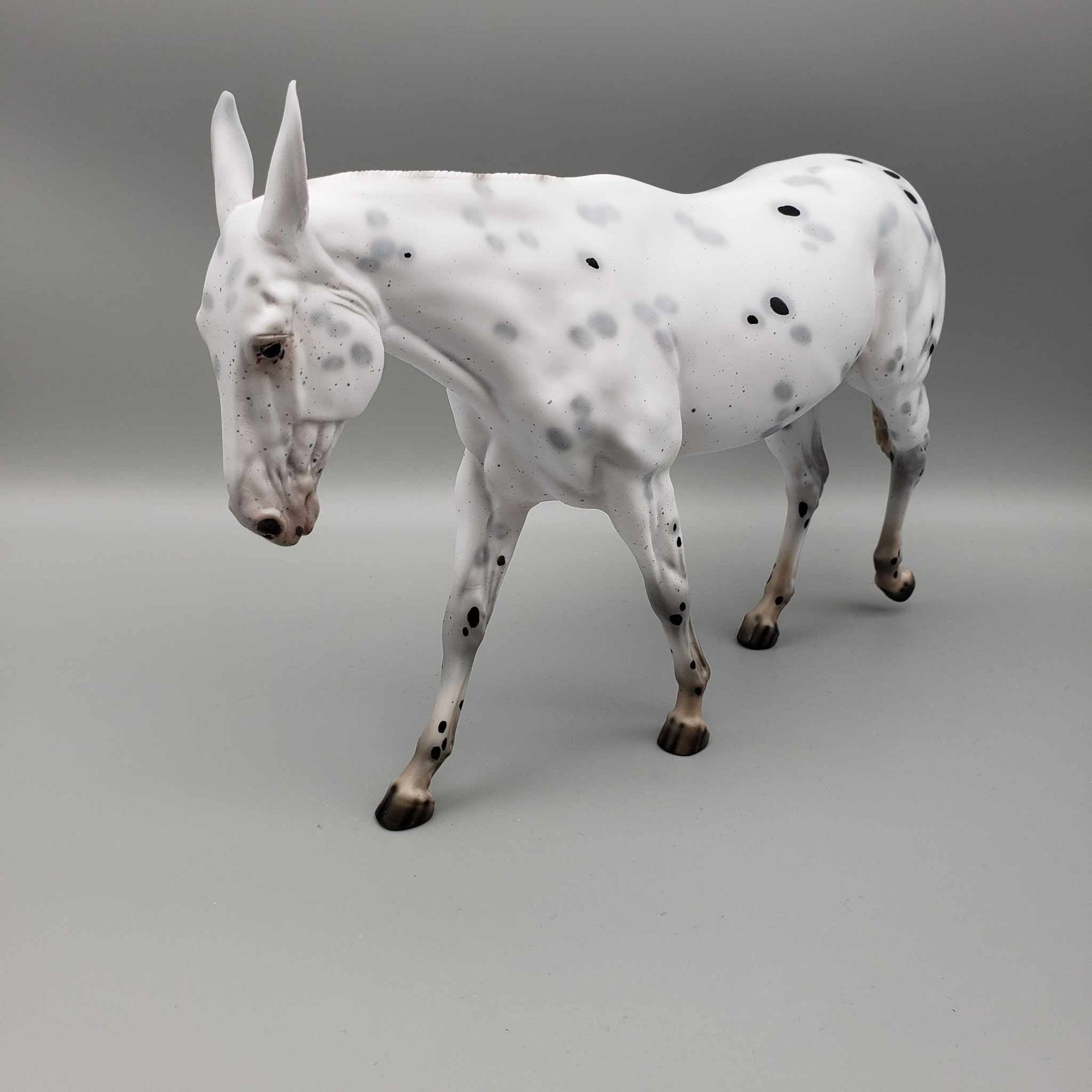 Ebenezer Scrooge from A Christmas Carol LE-31 Black Appaloosa Going Grey Pinned Ear Gelding Mule 😍 By Ellen Robbins Classic Literature 2023 CL23