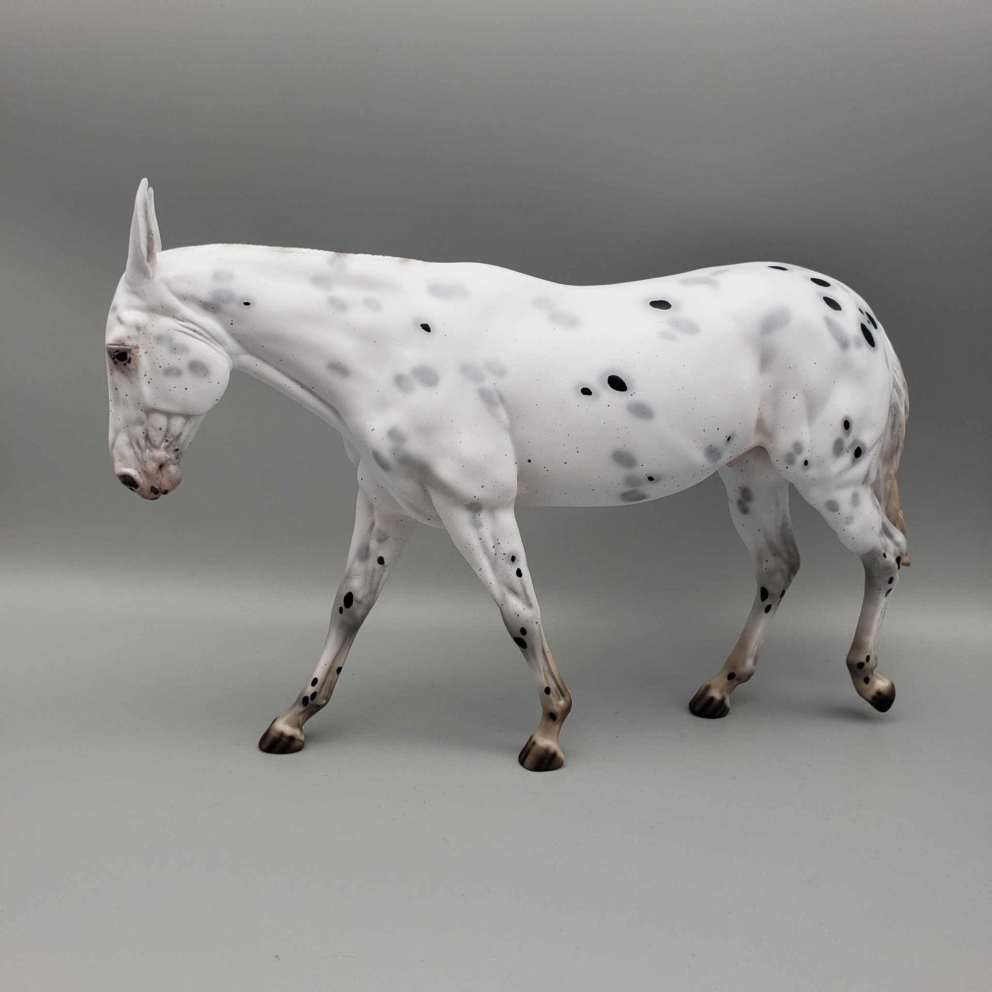 Ebenezer Scrooge from A Christmas Carol LE-31 Black Appaloosa Going Grey Pinned Ear Gelding Mule 😍 By Ellen Robbins Classic Literature 2023 CL23