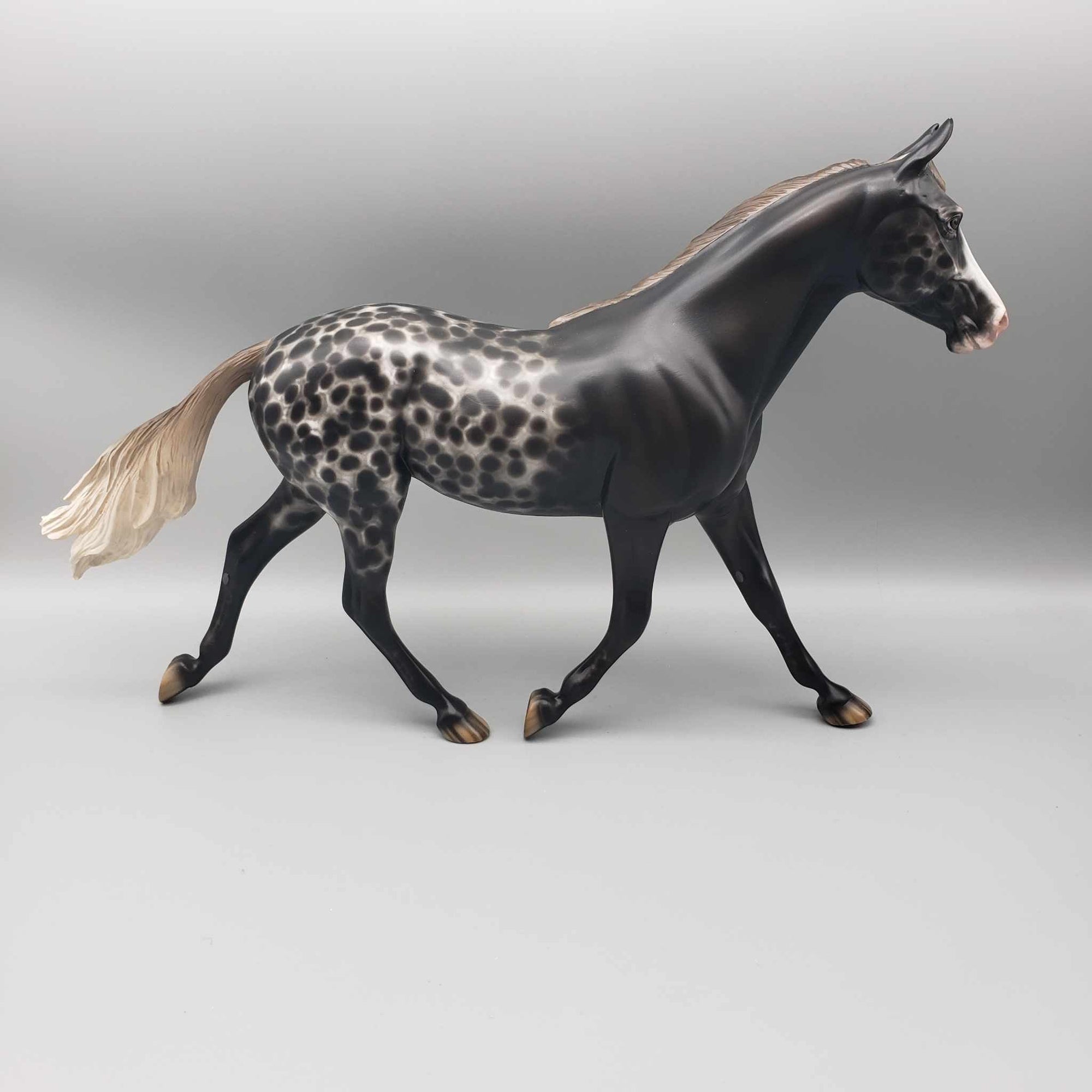 Blackberry Pie OOAK Black Appaloosa Palouse By Sheryl Leisure Best Offers 12/26/23